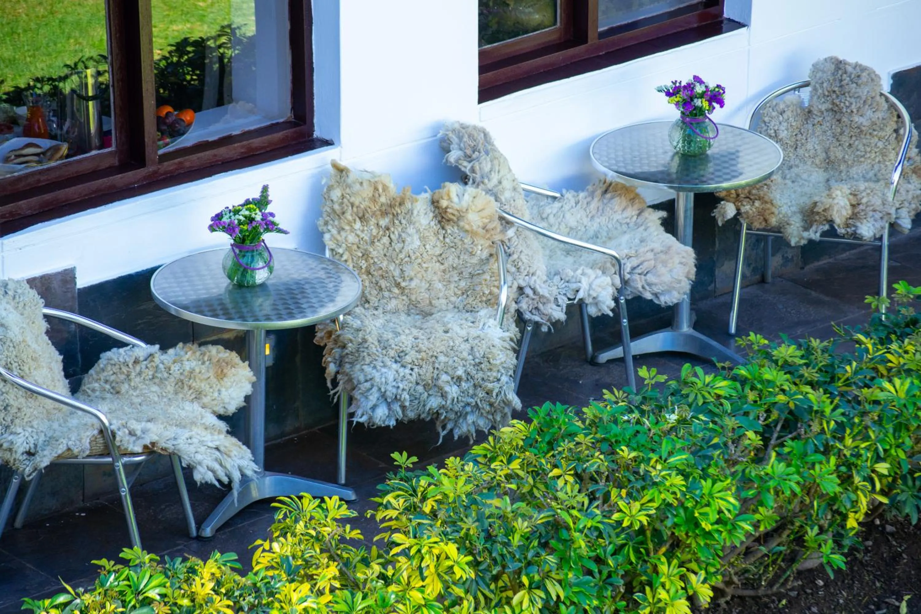 Garden in RHOUSE Calca