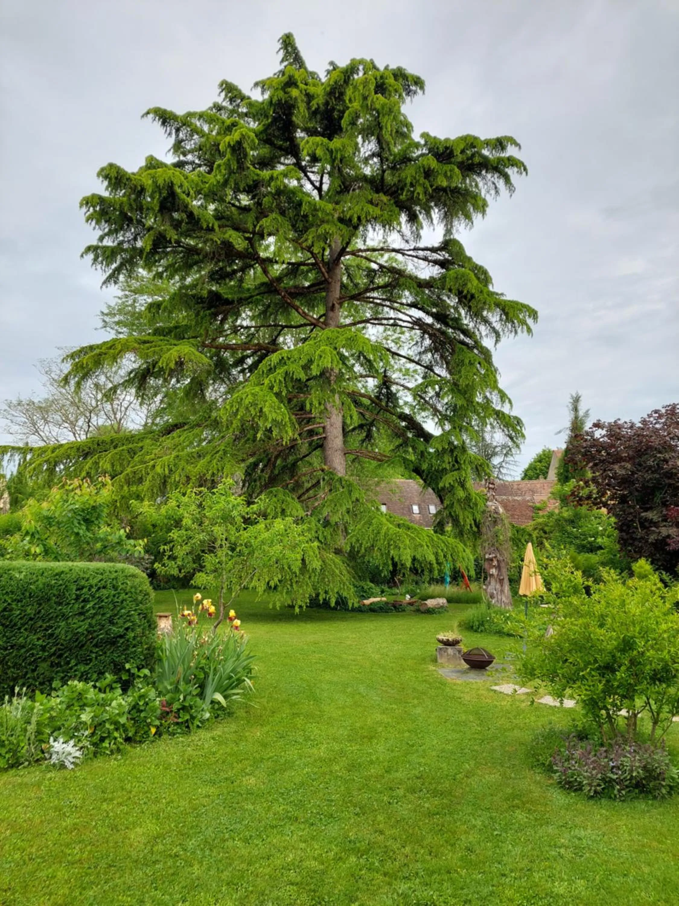 Garden in Rue du Château