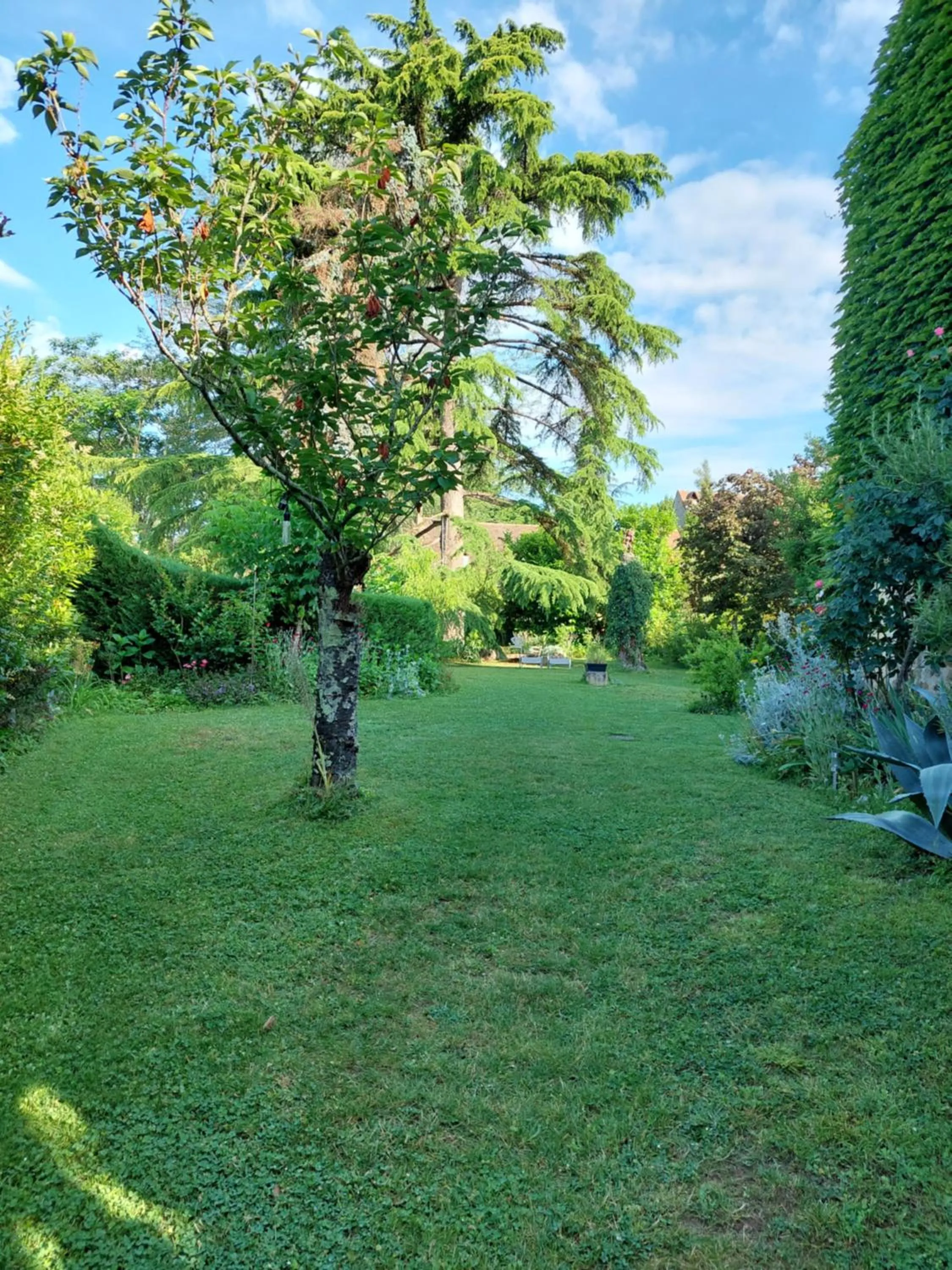 Garden in Rue du Château