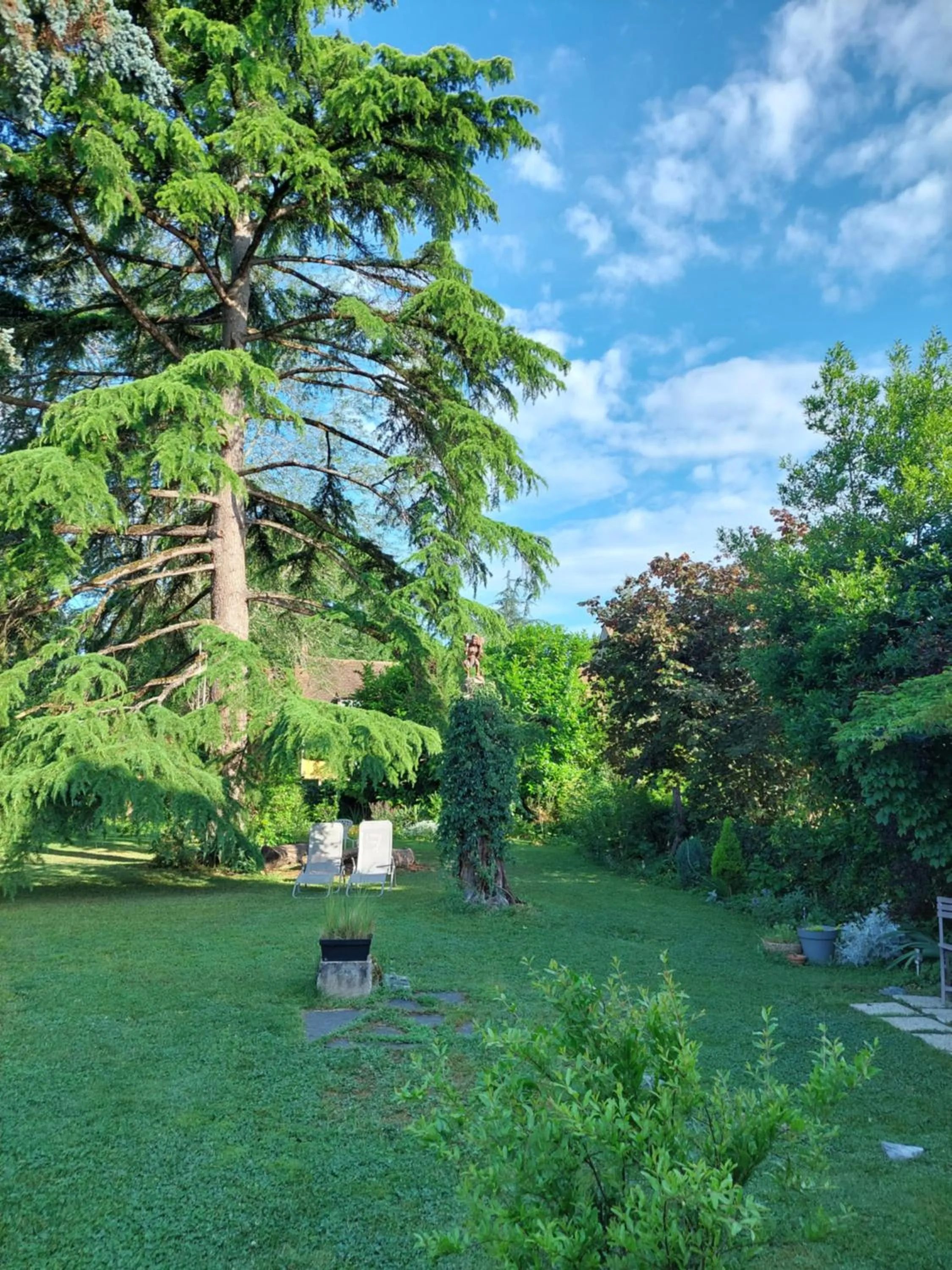 Garden in Rue du Château