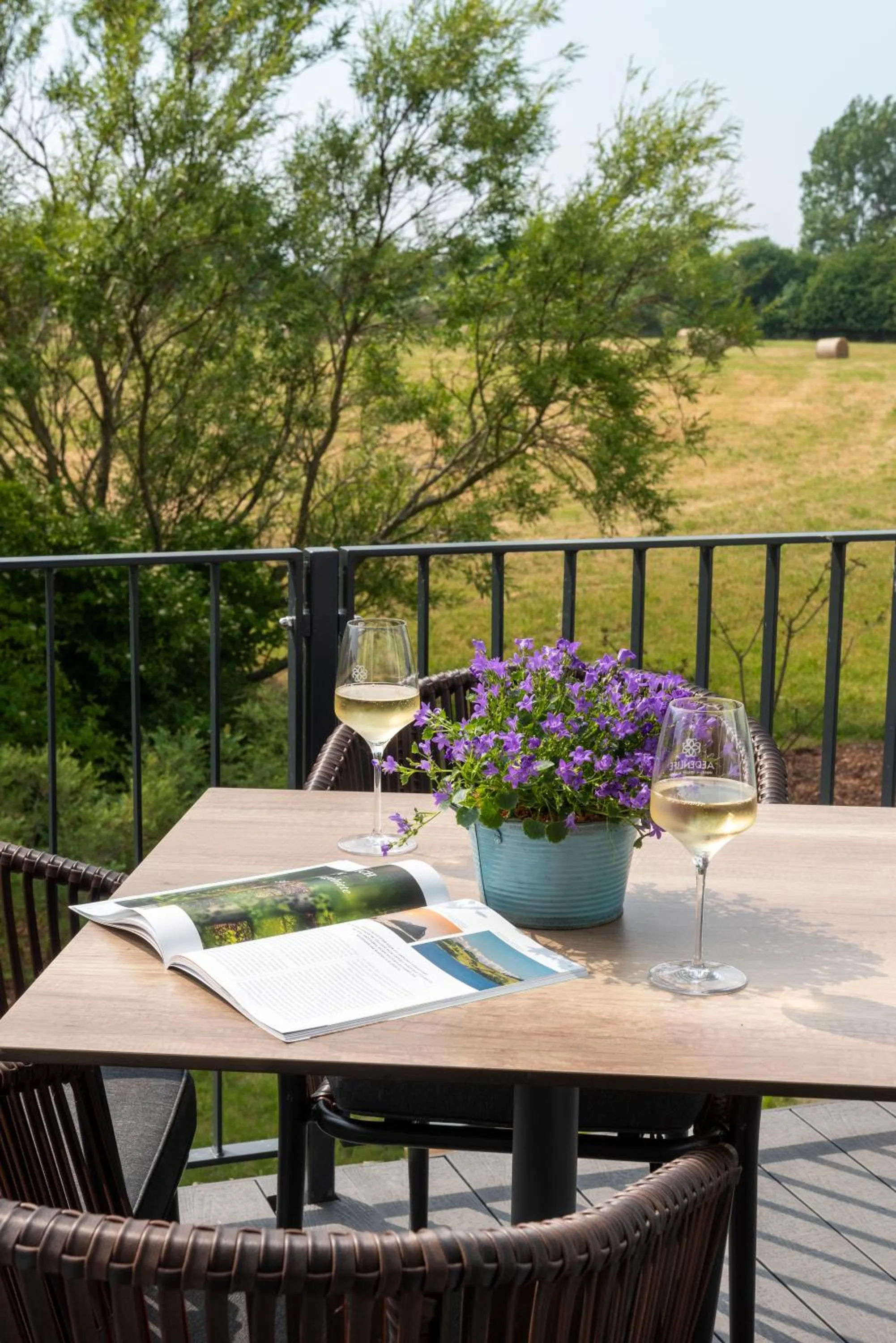 Balcony/Terrace in Aedenlife Hotel & Resort Rügen