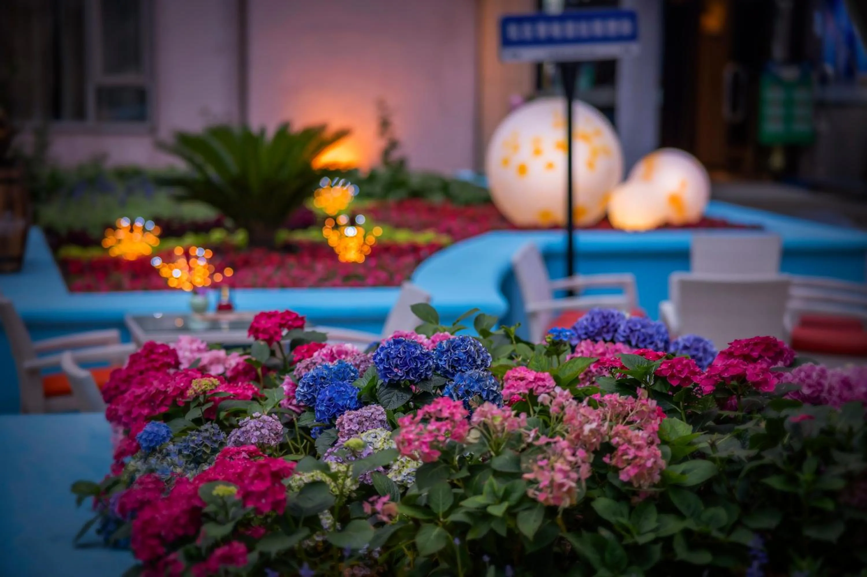 Restaurant/places to eat in Shangri-La Changchun