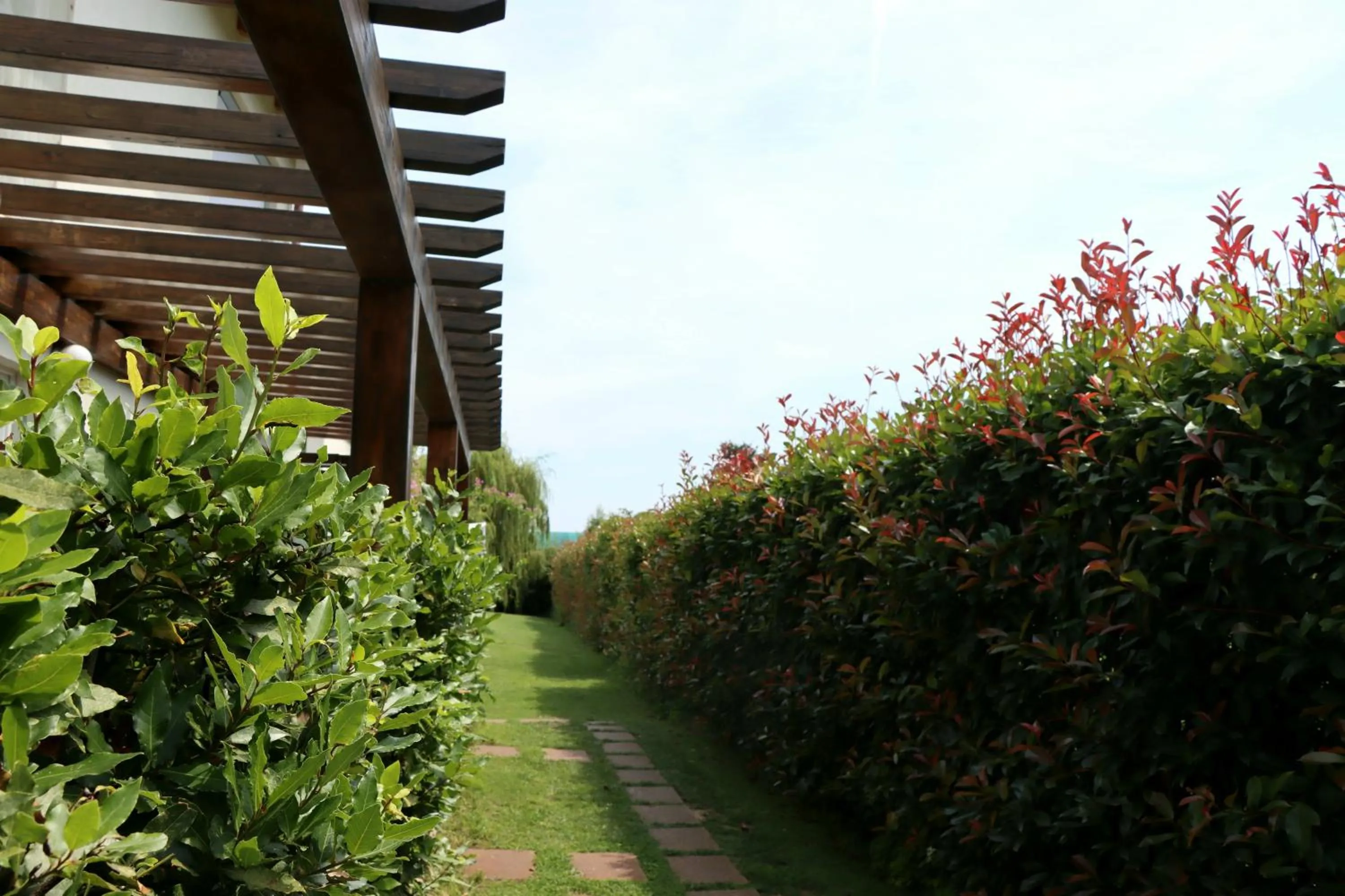 Day in Il Toscanello