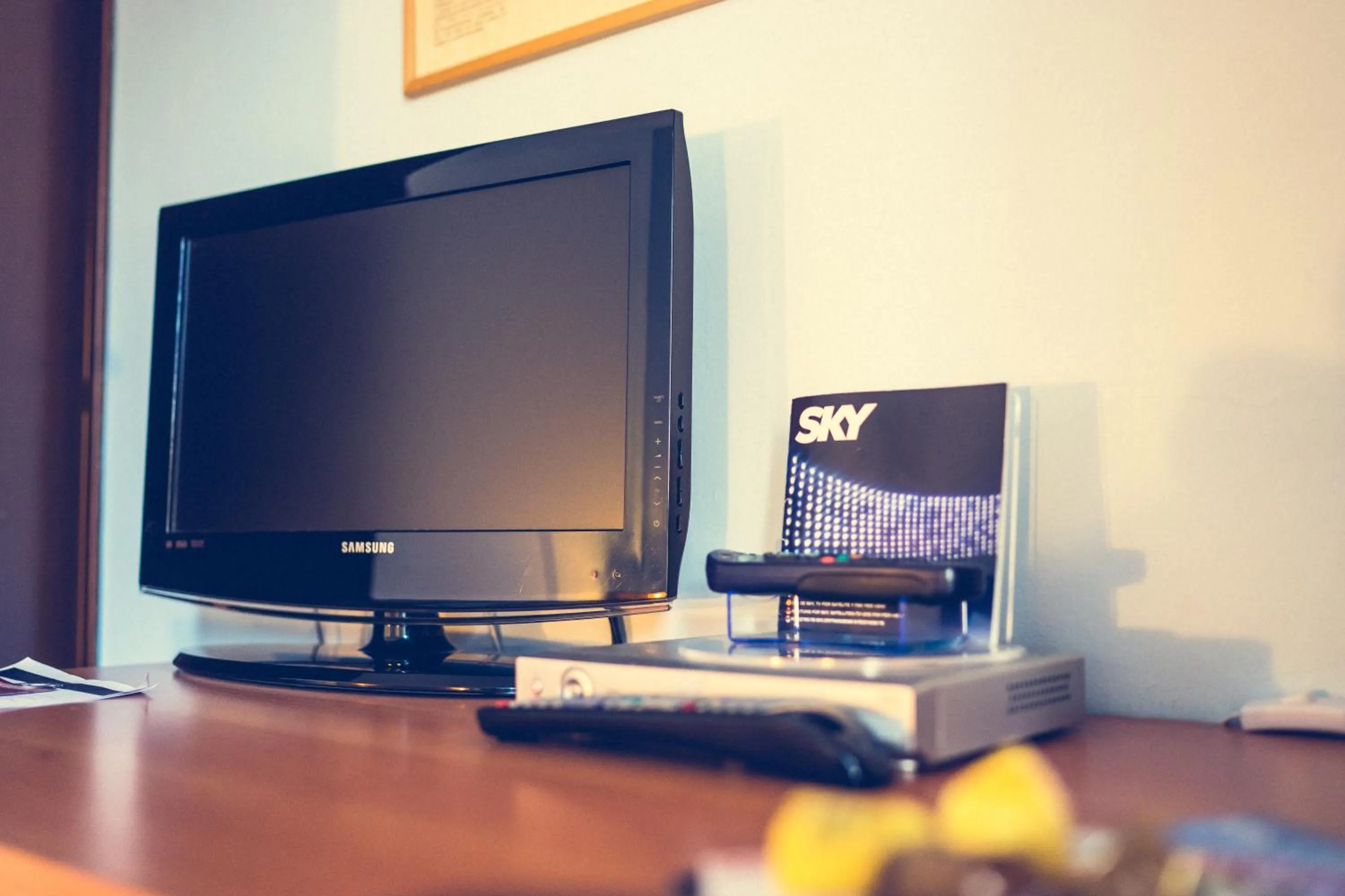 TV and multimedia in Hotel La Gaietta