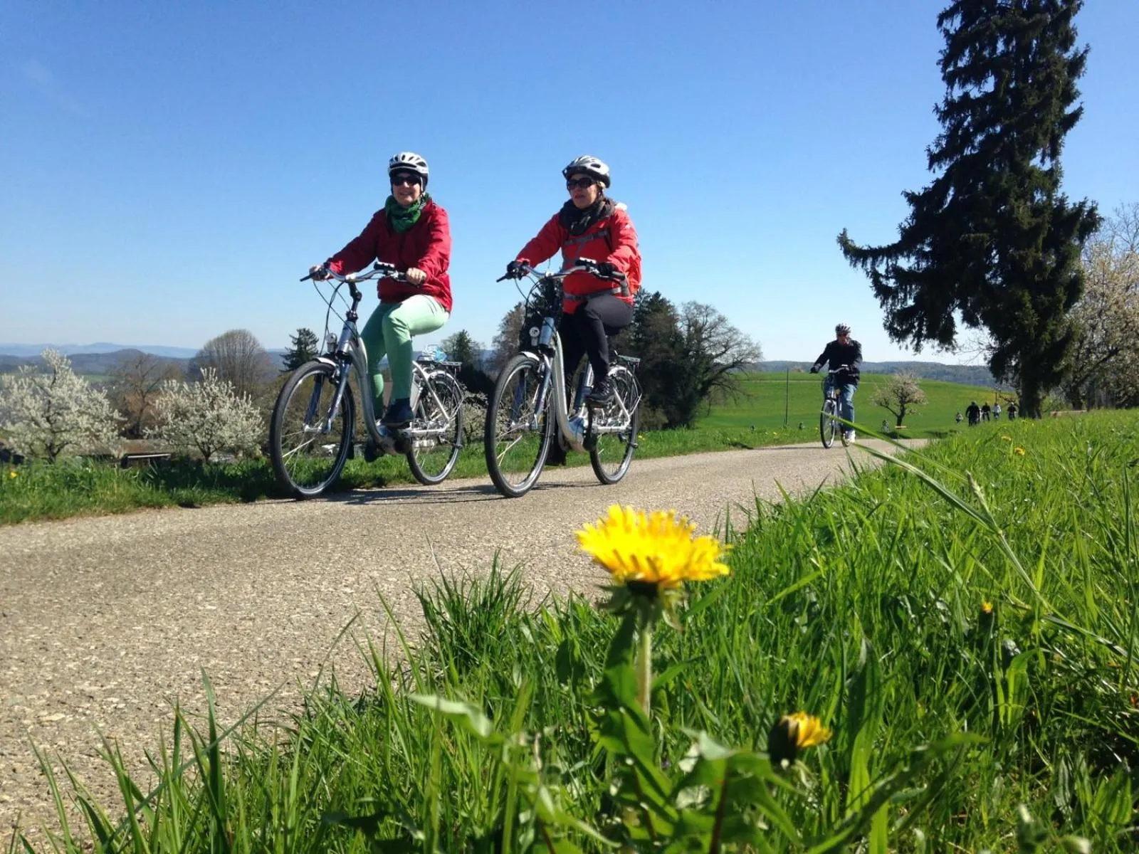 Day in Hotel Bad Ramsach