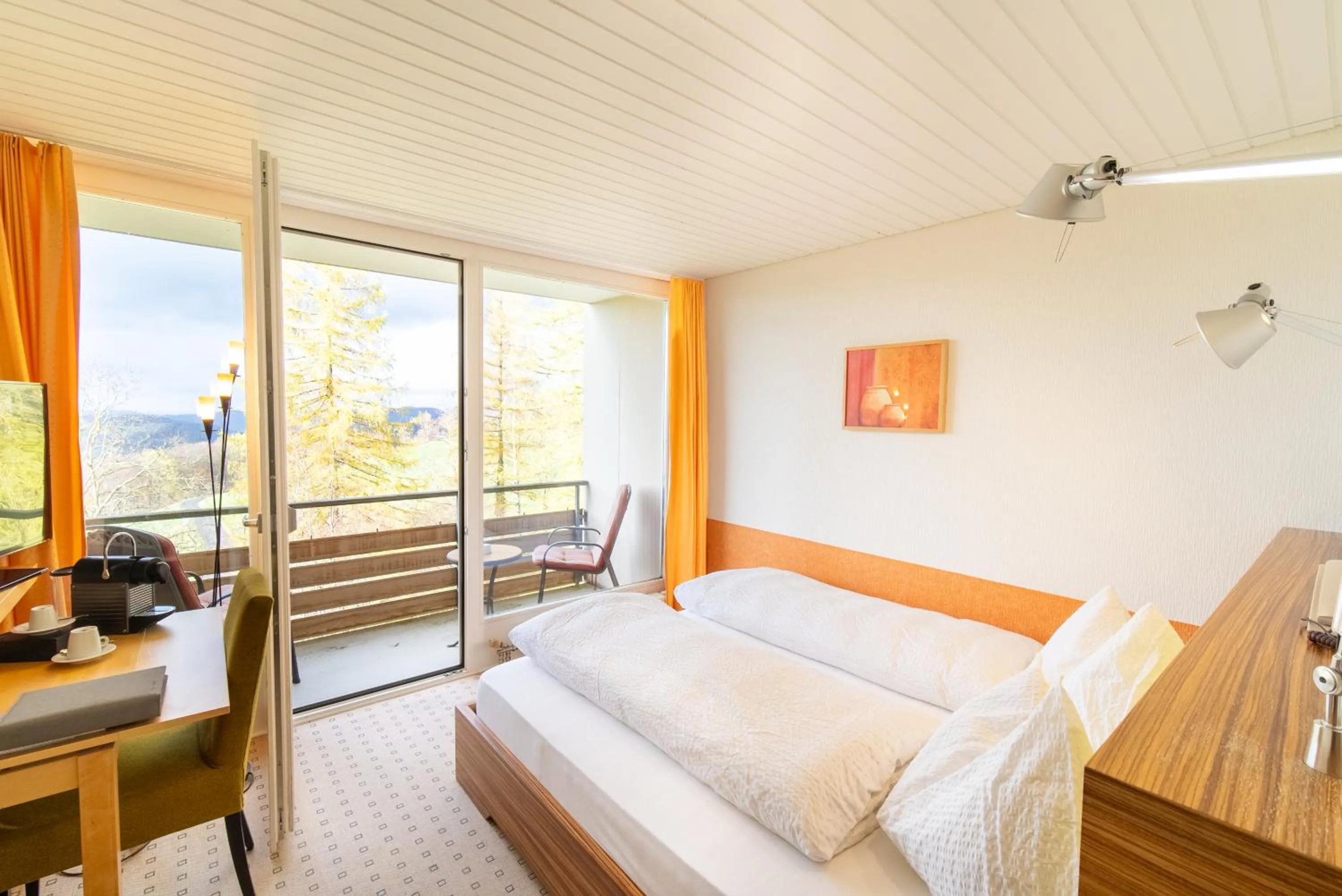 View (from property/room), Bed in Hotel Bad Ramsach