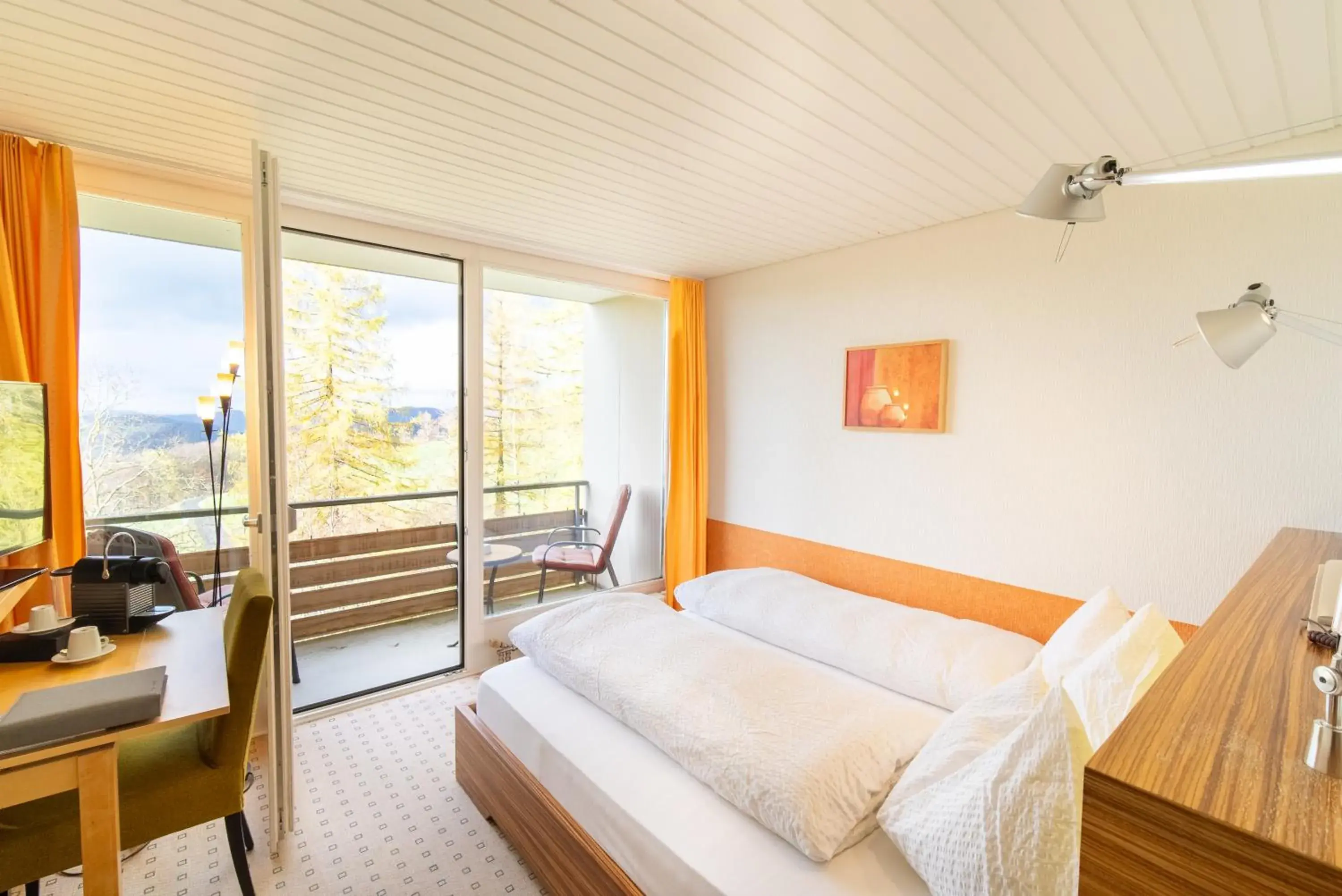 King Room in Hotel Bad Ramsach King Room in Hotel Bad Ramsach