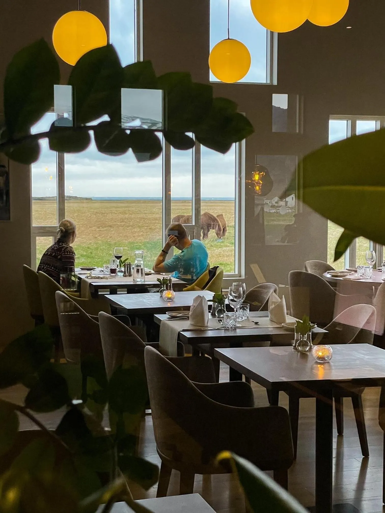 Restaurant/places to eat in Umi Hotel