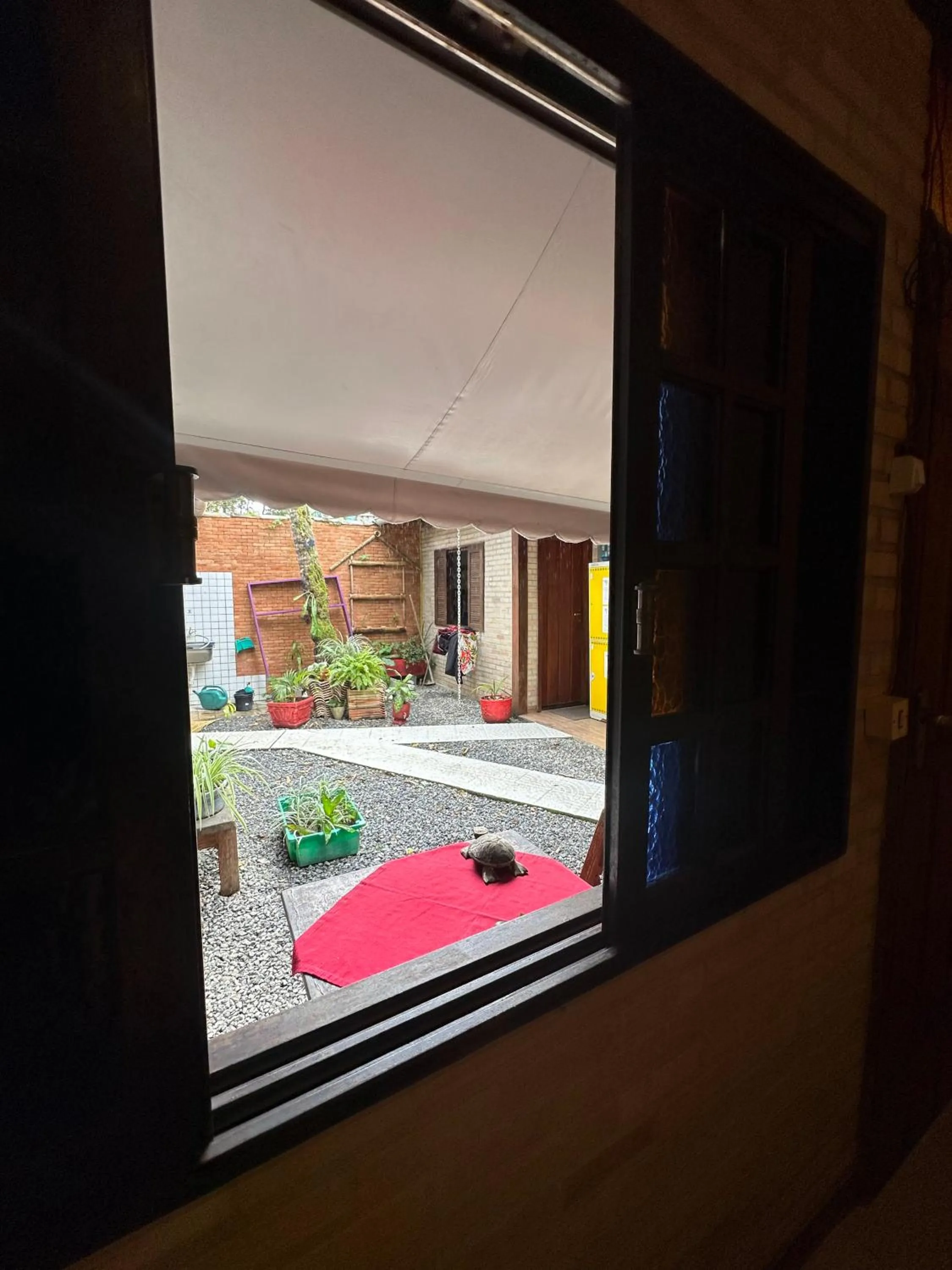 Inner courtyard view in Biergarten Hostel
