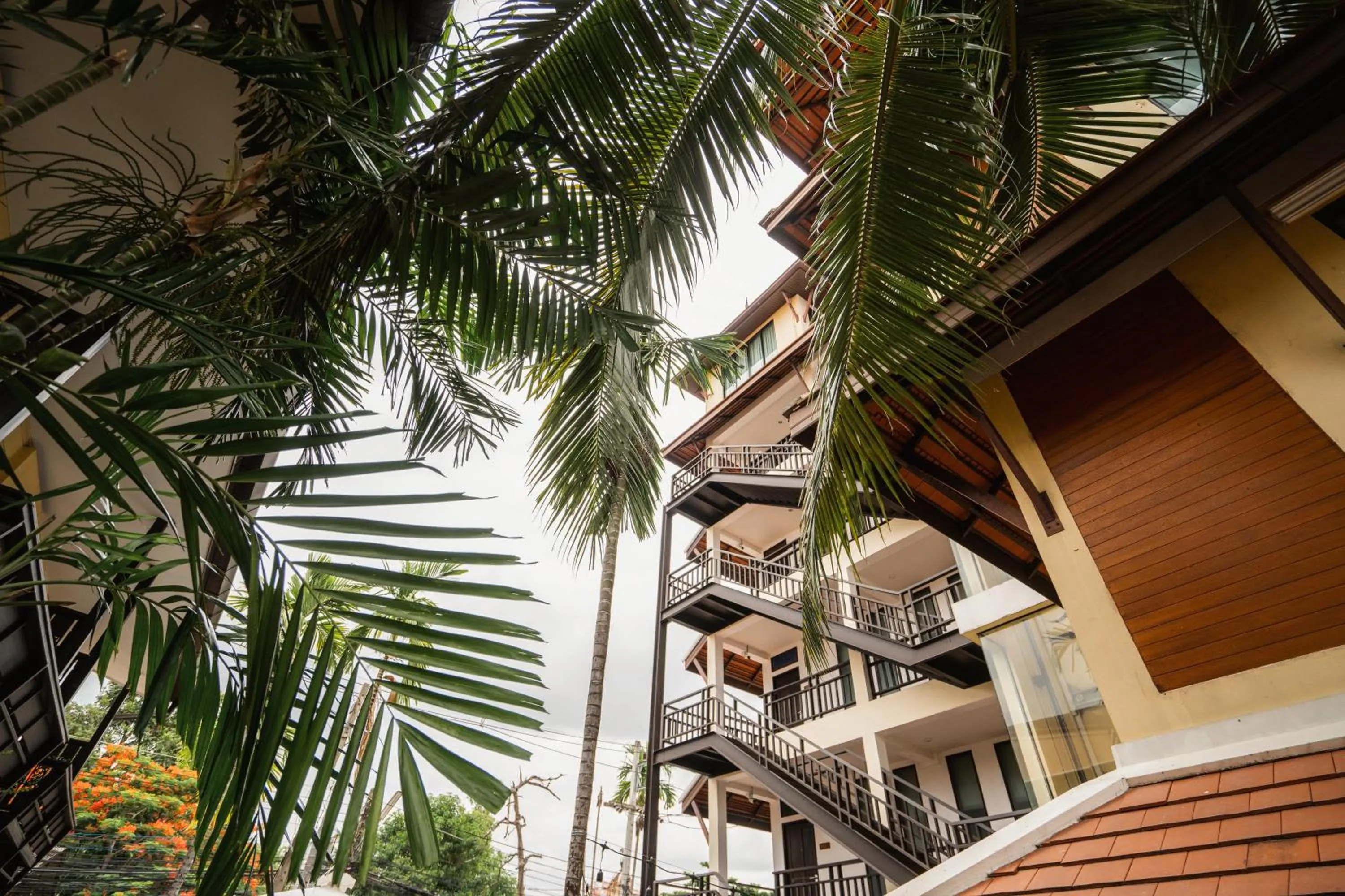 Garden in THEE Kashatharn by TH District