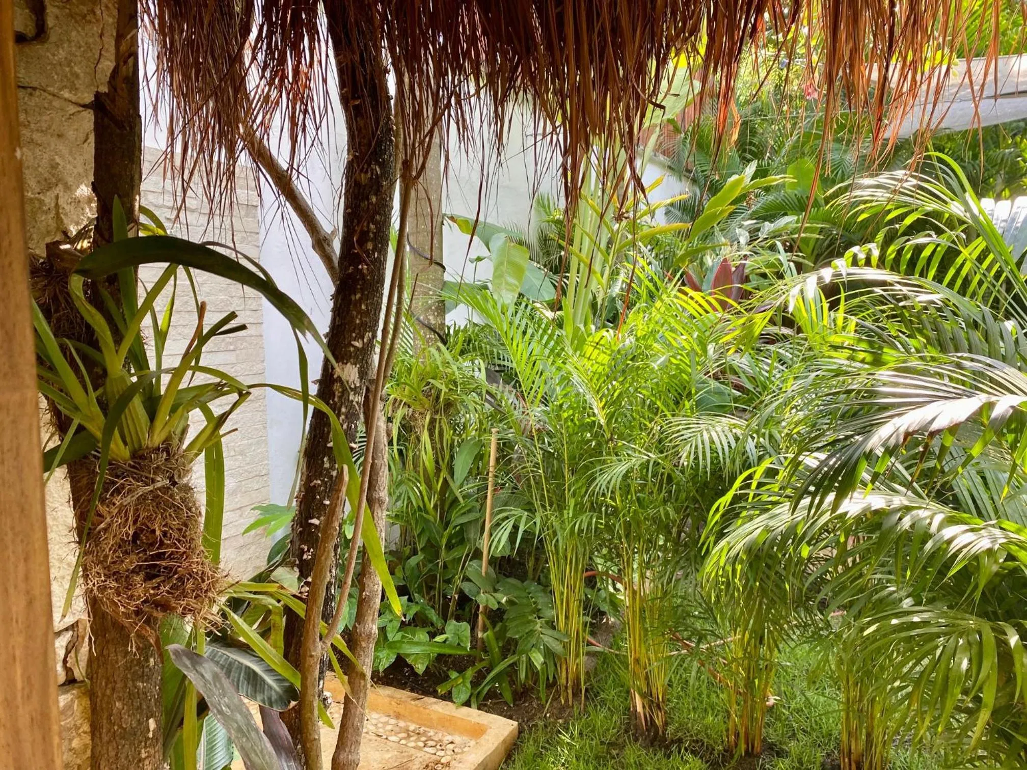 Natural landscape in Luxury Private Villas , Private Pool, Private garden, Jacuzzi, 24hours security