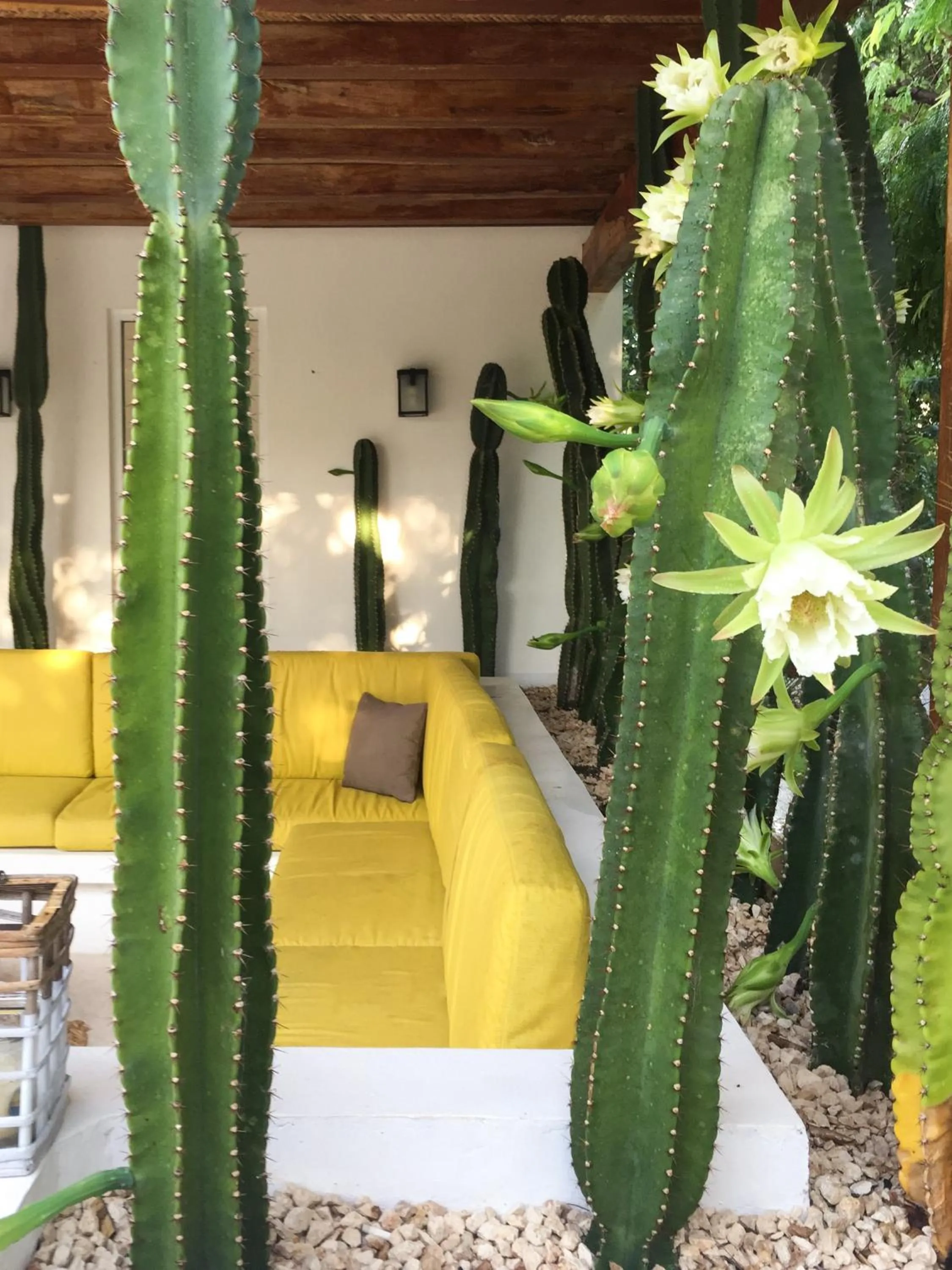 Balcony/Terrace in Luxury Private Villas , Private Pool, Private garden, Jacuzzi, 24hours security