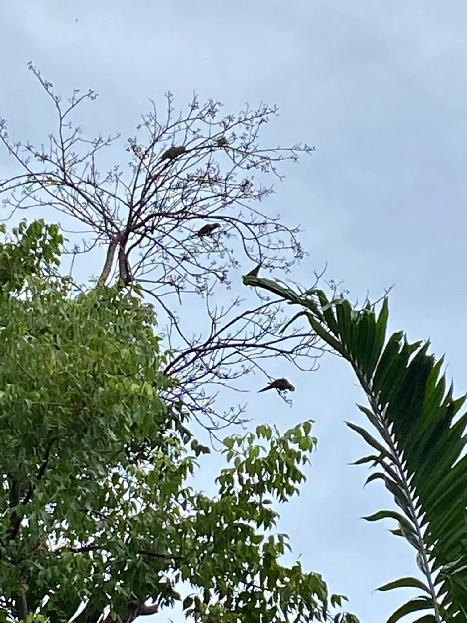 Natural landscape in Luxury Private Villas , Private Pool, Private garden, Jacuzzi, 24hours security