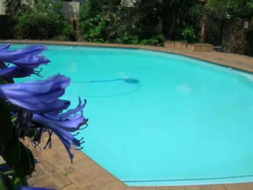 Swimming pool in Elizabeth Lodge