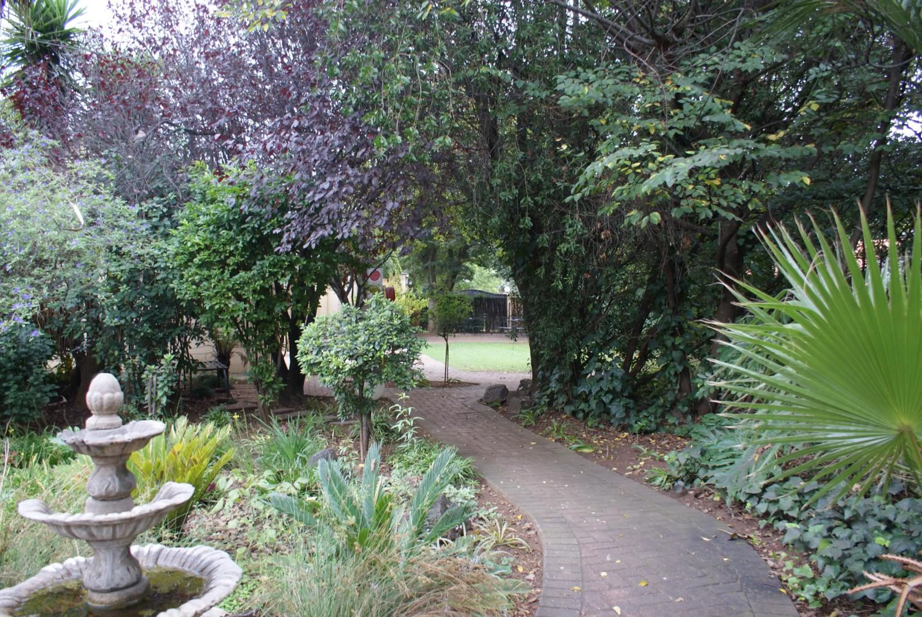 Natural landscape in Elizabeth Lodge