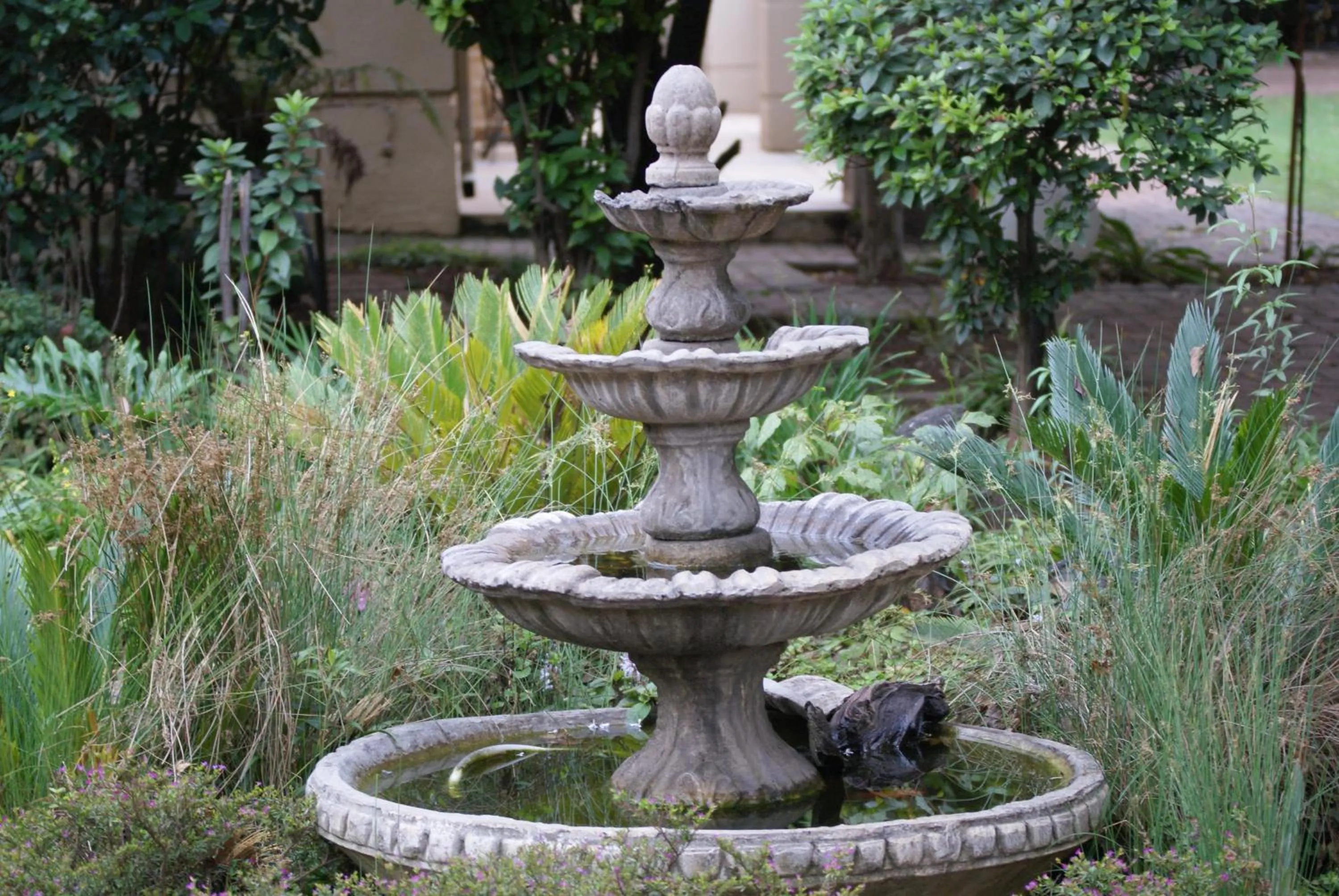 Garden in Elizabeth Lodge