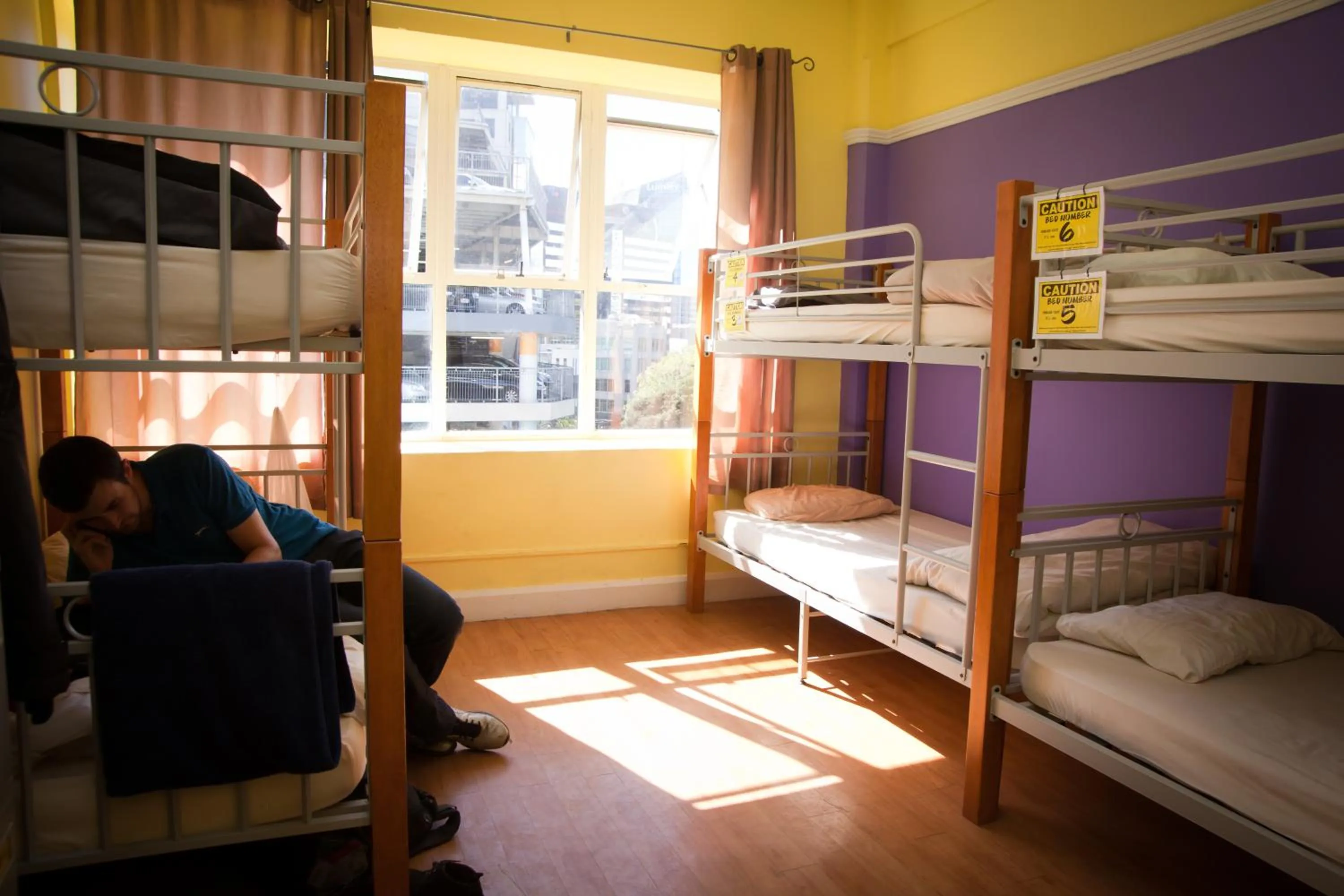 bunk bed, Bed in Frienz Backpacker