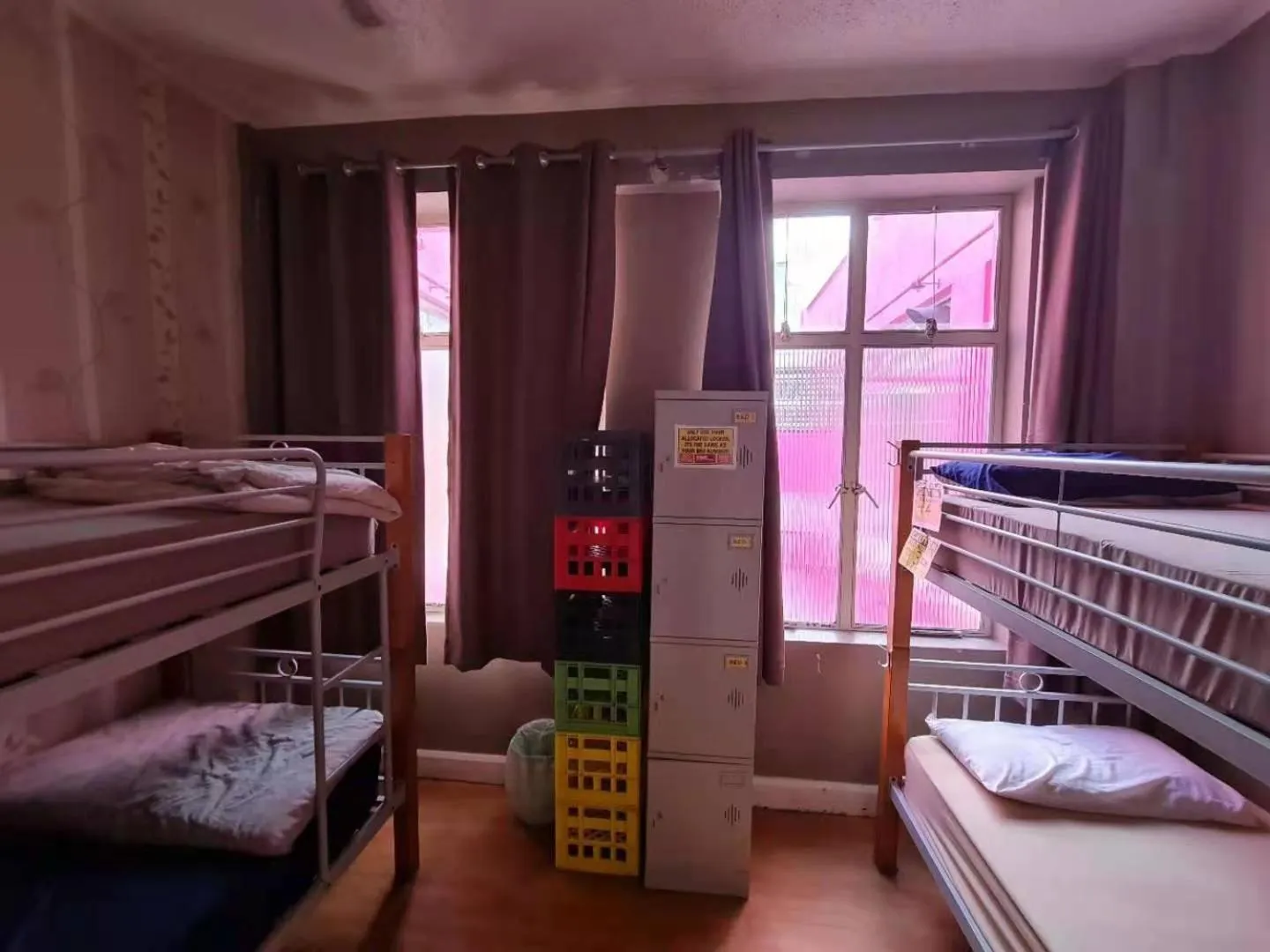 bunk bed, Bed in Frienz Backpacker