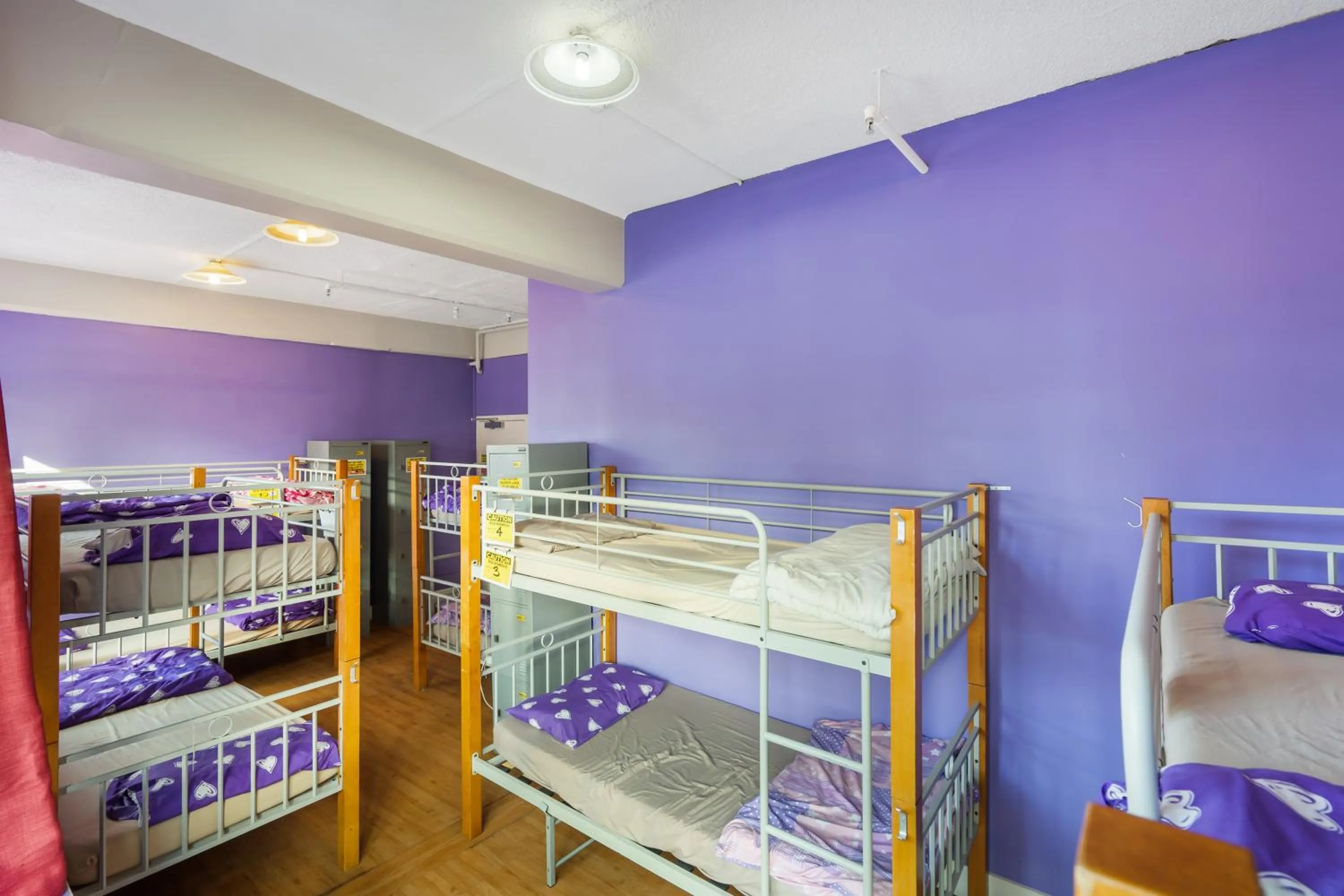 bunk bed, Bed in Frienz Backpacker