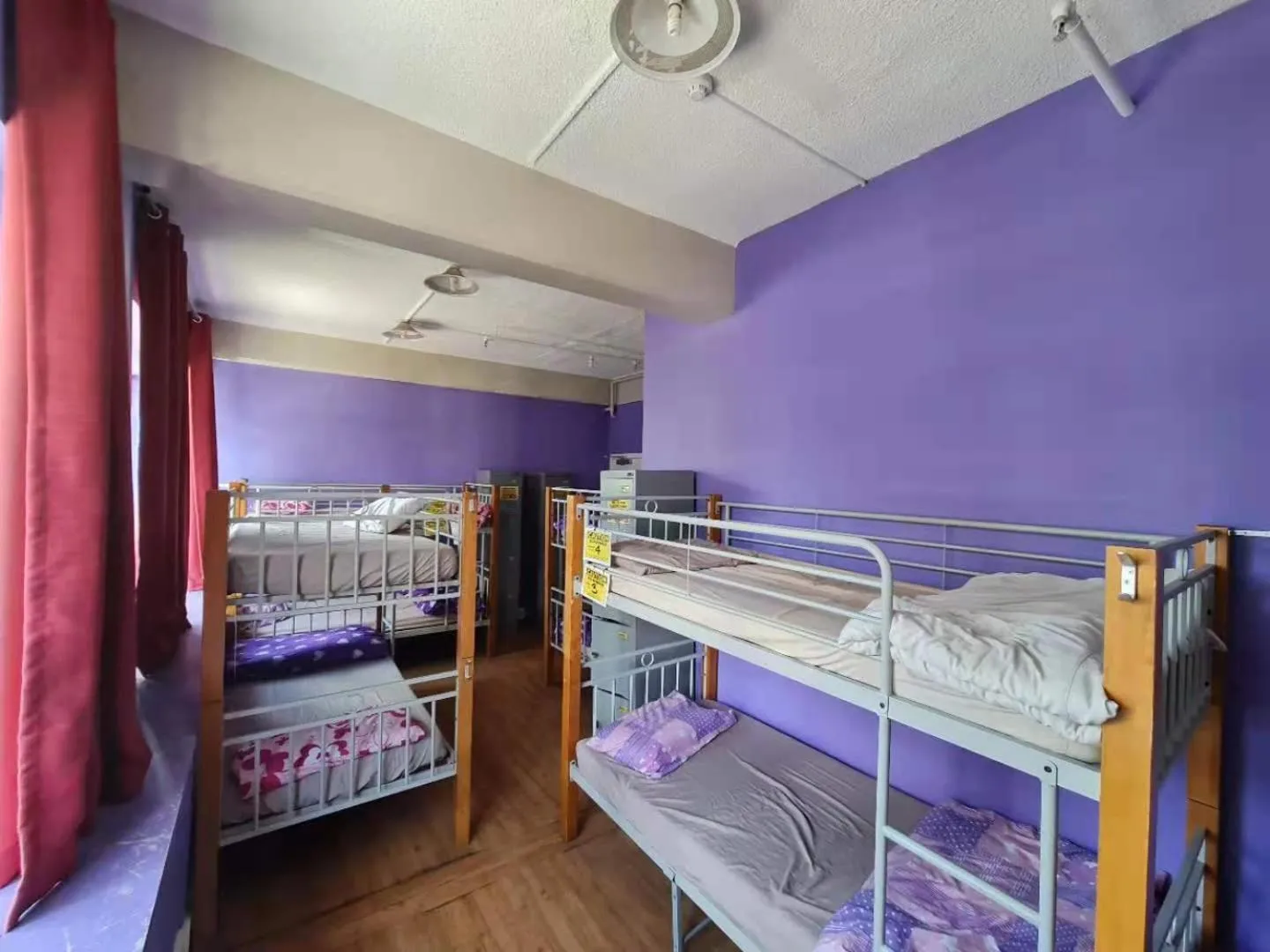 bunk bed, Bed in Frienz Backpacker