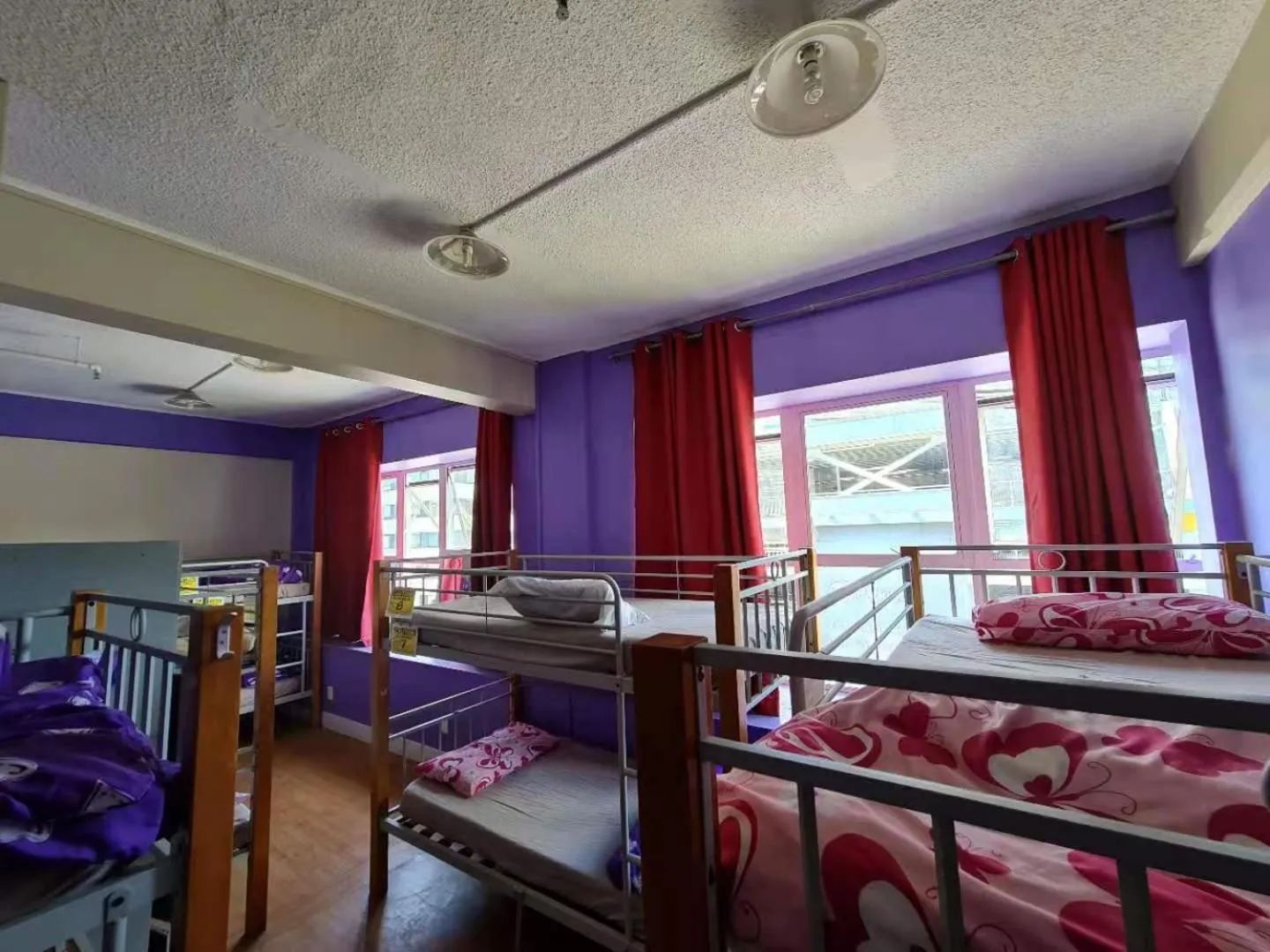 bunk bed, Bed in Frienz Backpacker