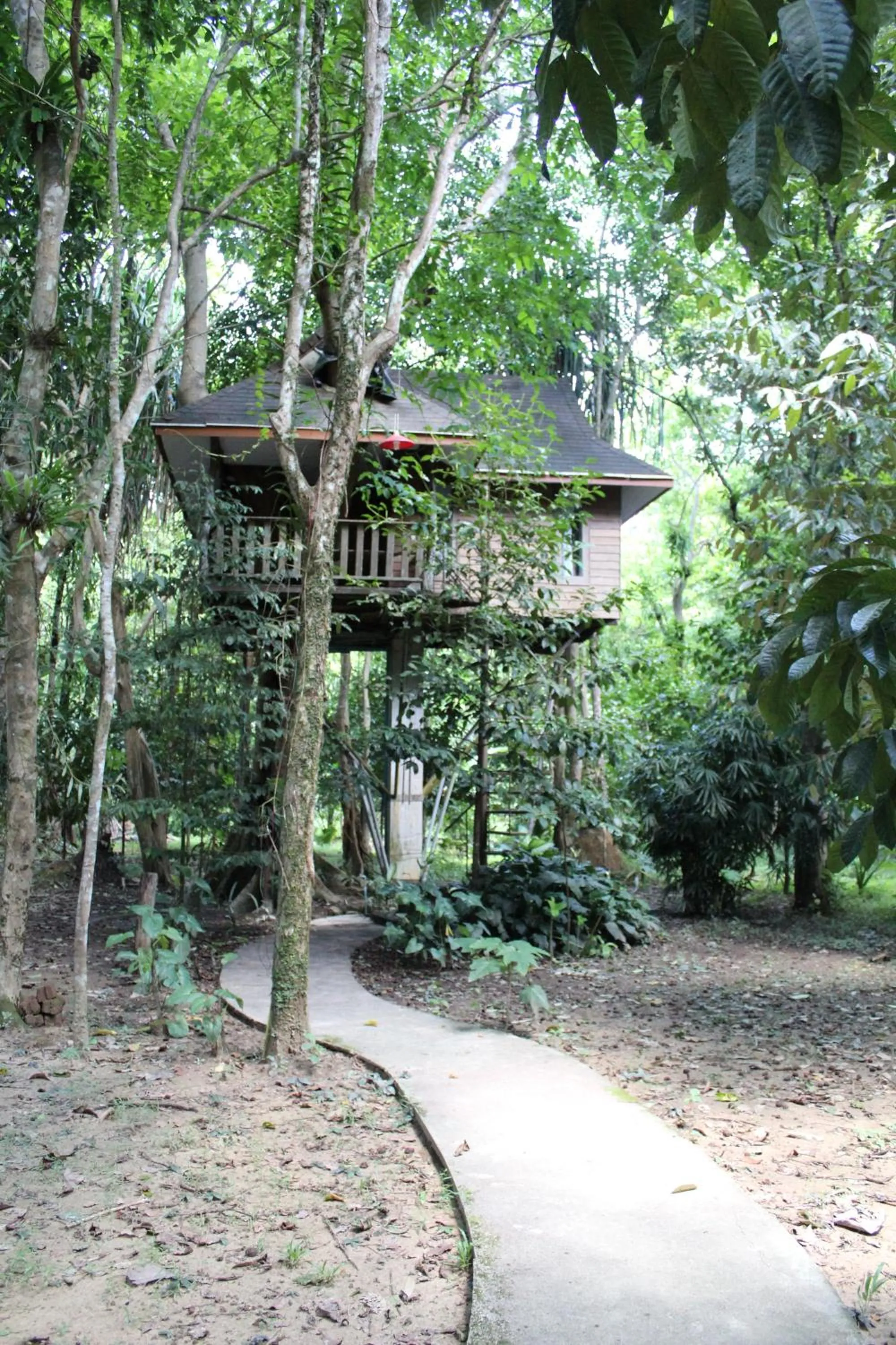 Day in Baan Khaosok Resort