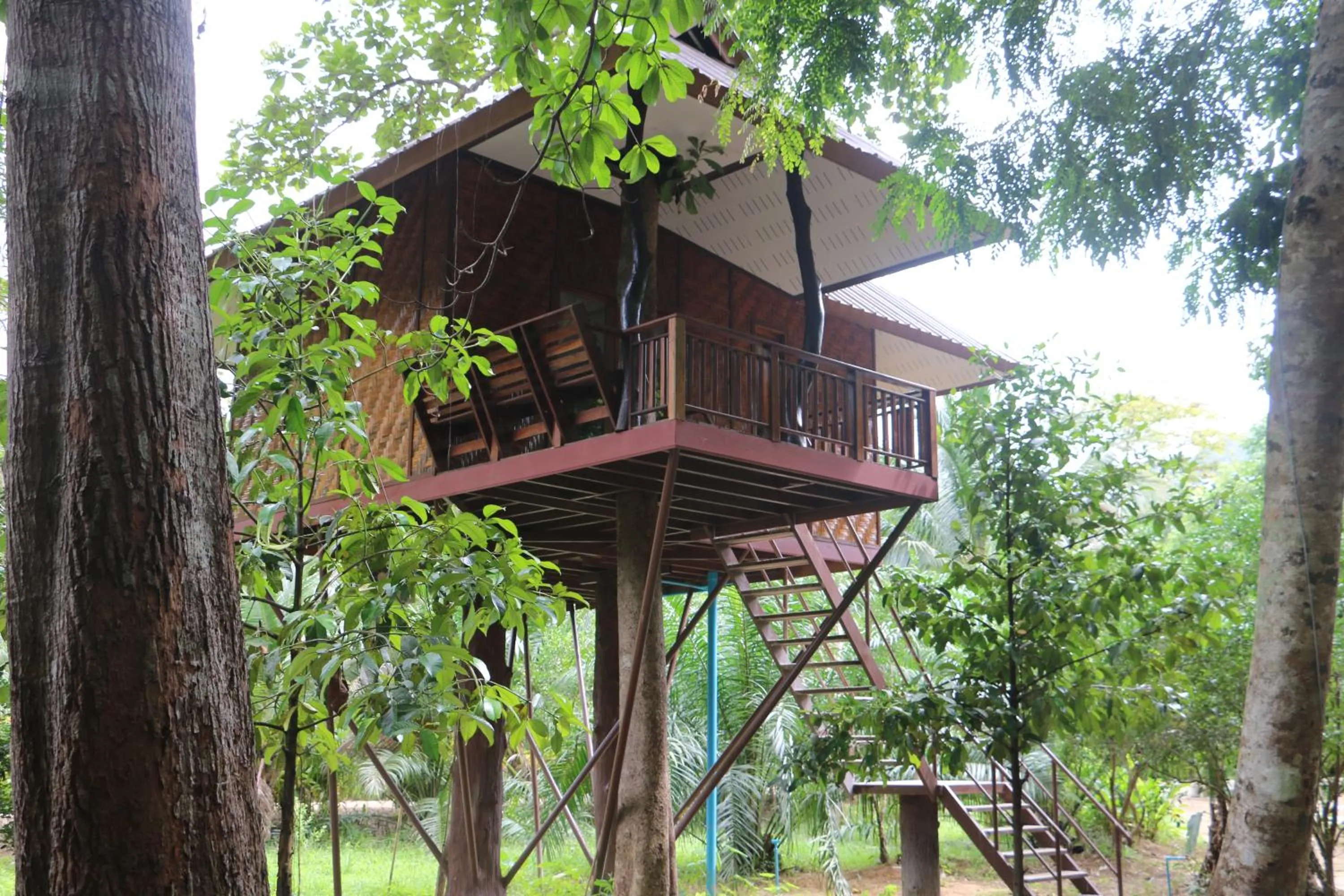 Natural landscape in Baan Khaosok Resort