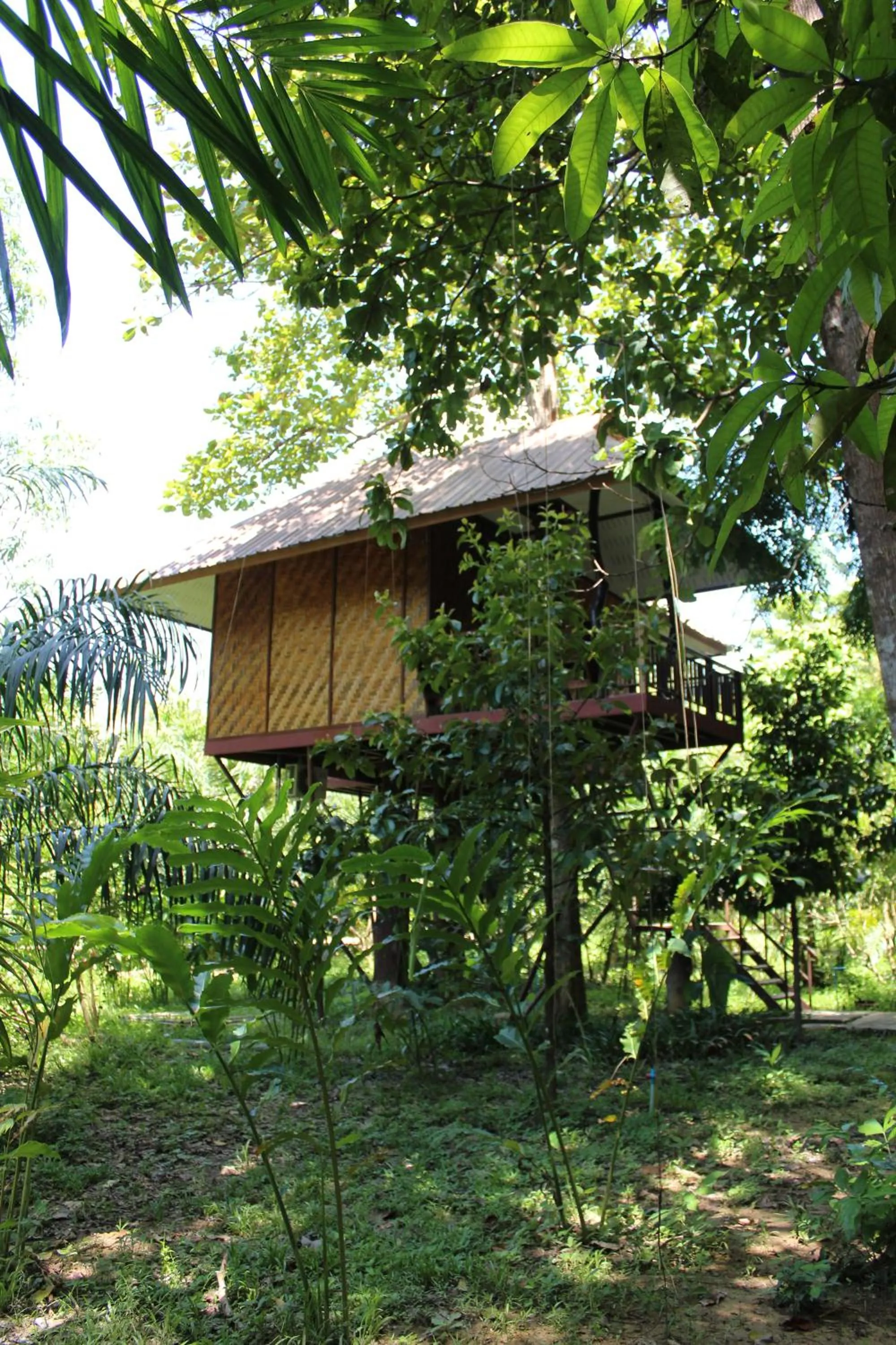View (from property/room) in Baan Khaosok Resort