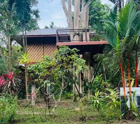 Natural landscape in Baan Khaosok Resort