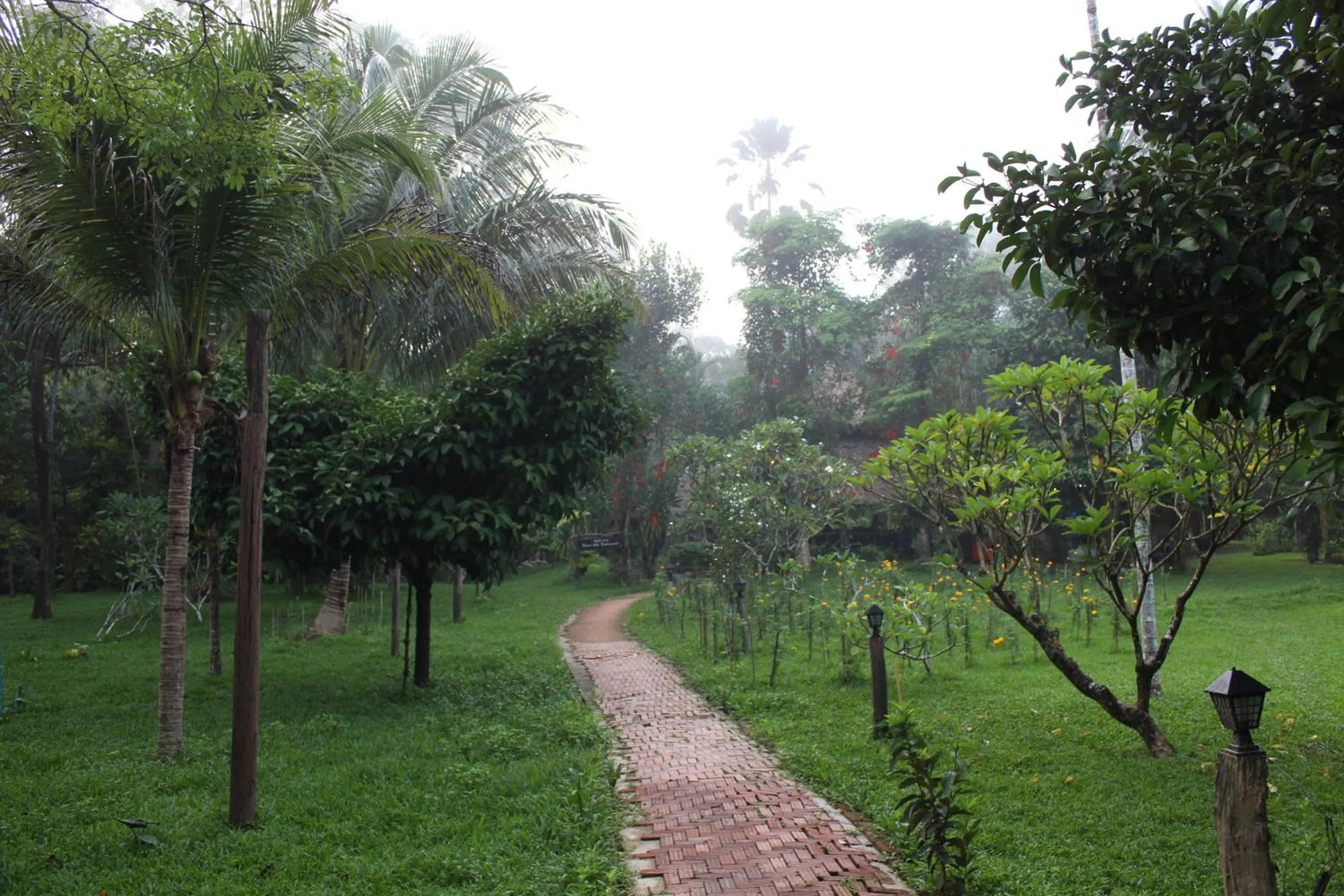 Natural landscape in Baan Khaosok Resort