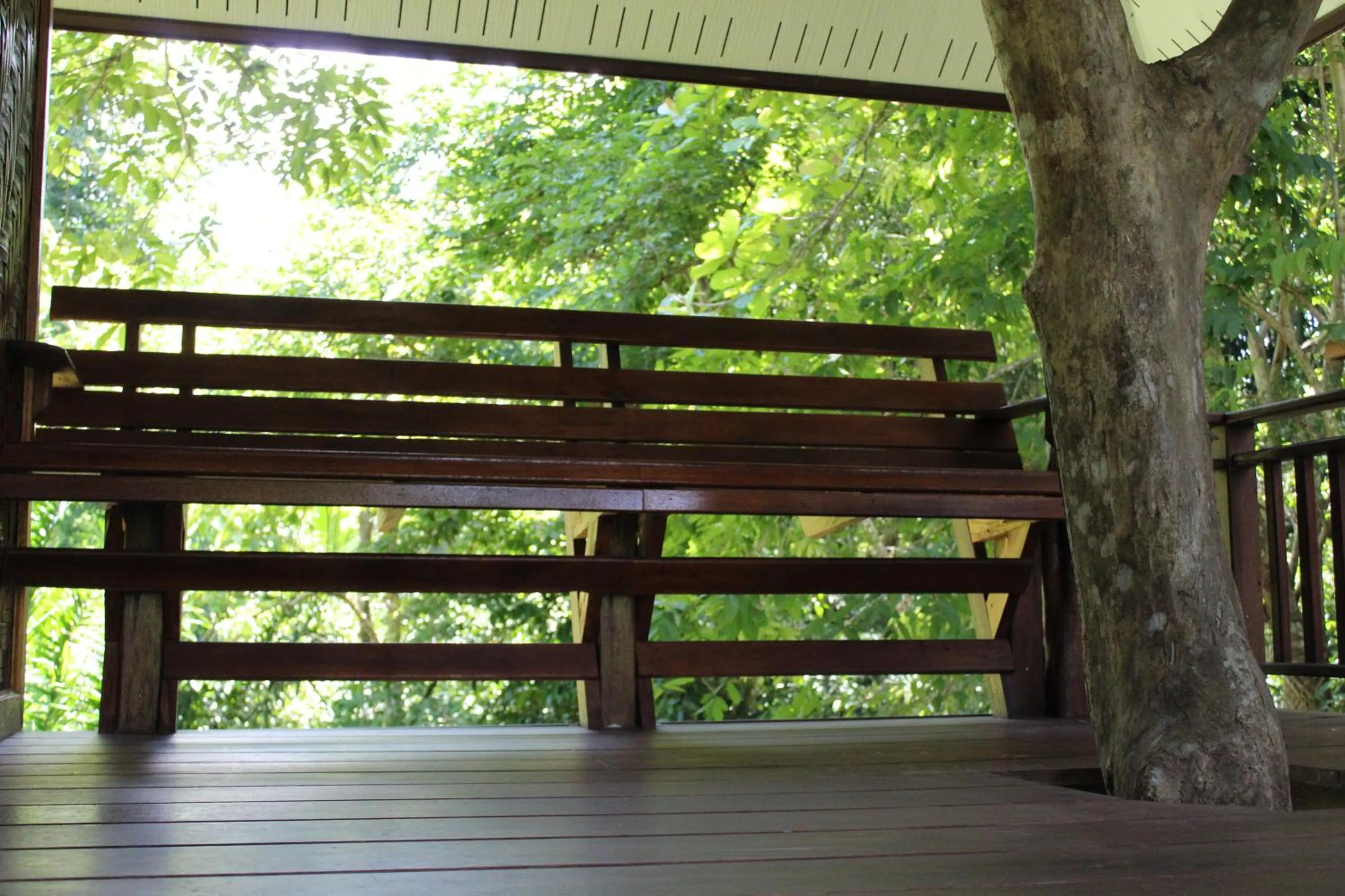 Day in Baan Khaosok Resort