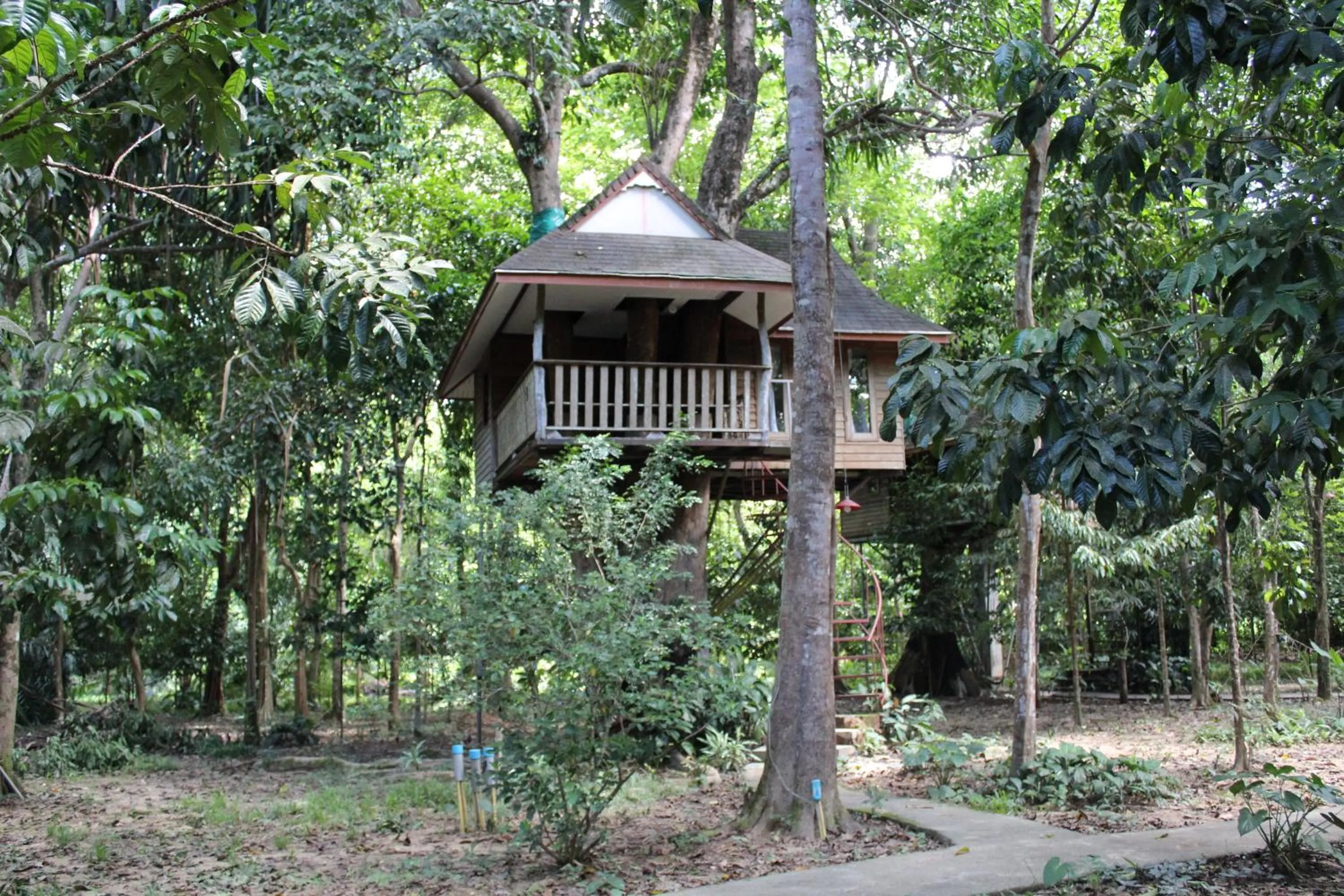 Day in Baan Khaosok Resort