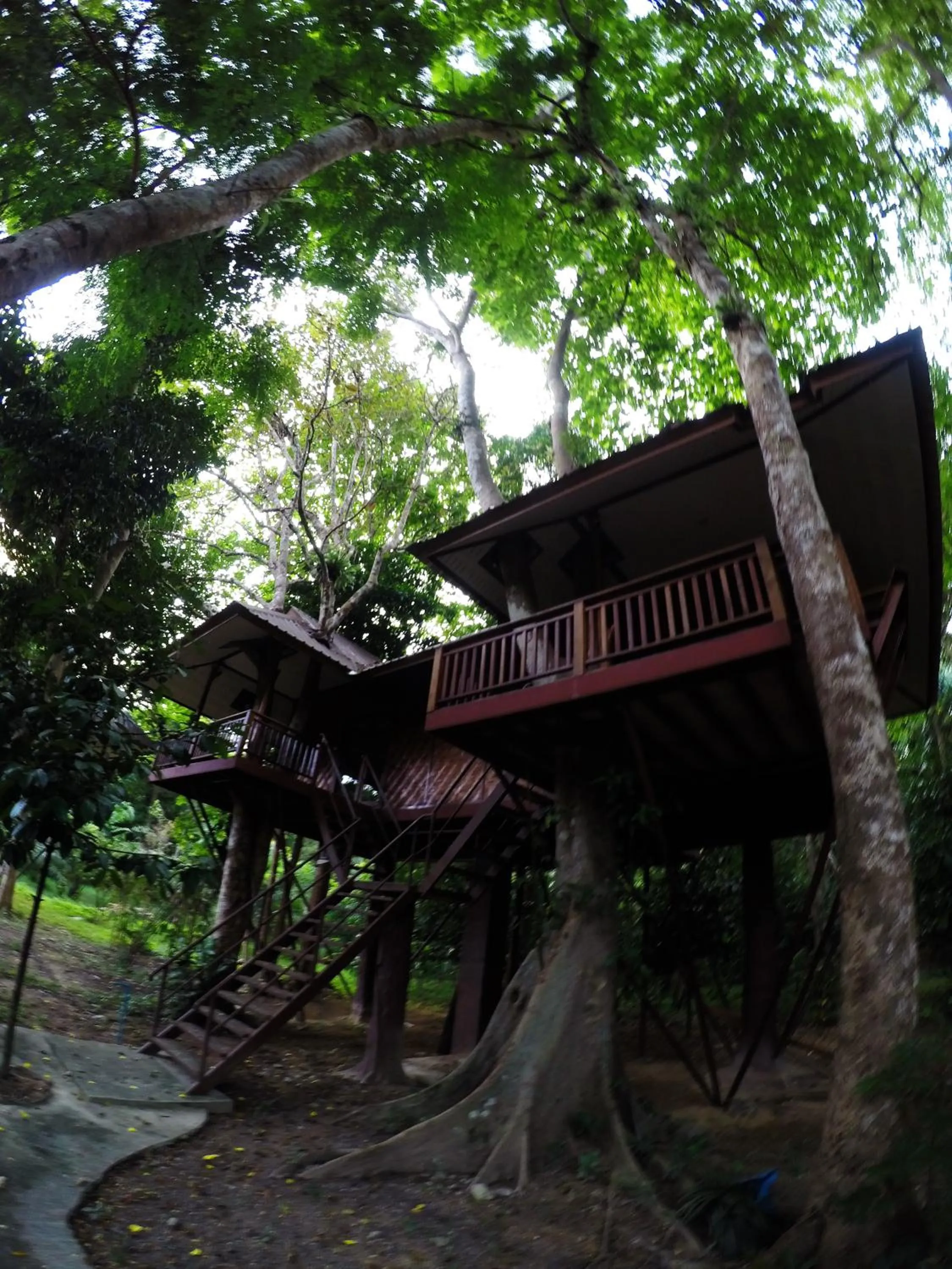 Day in Baan Khaosok Resort