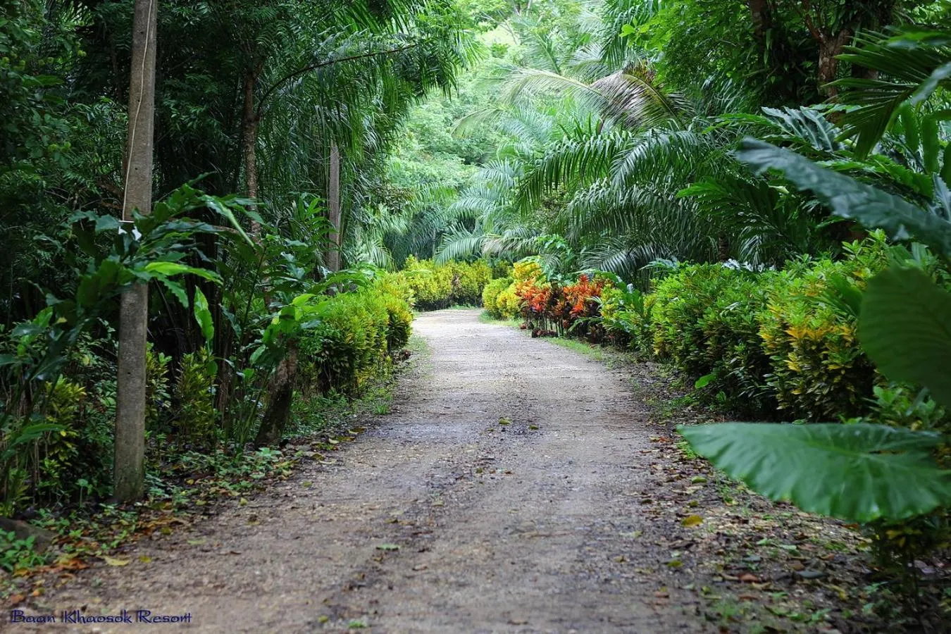 Street view in Baan Khaosok Resort