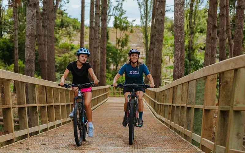 Activities in Cambridge Top 10 Holiday Park