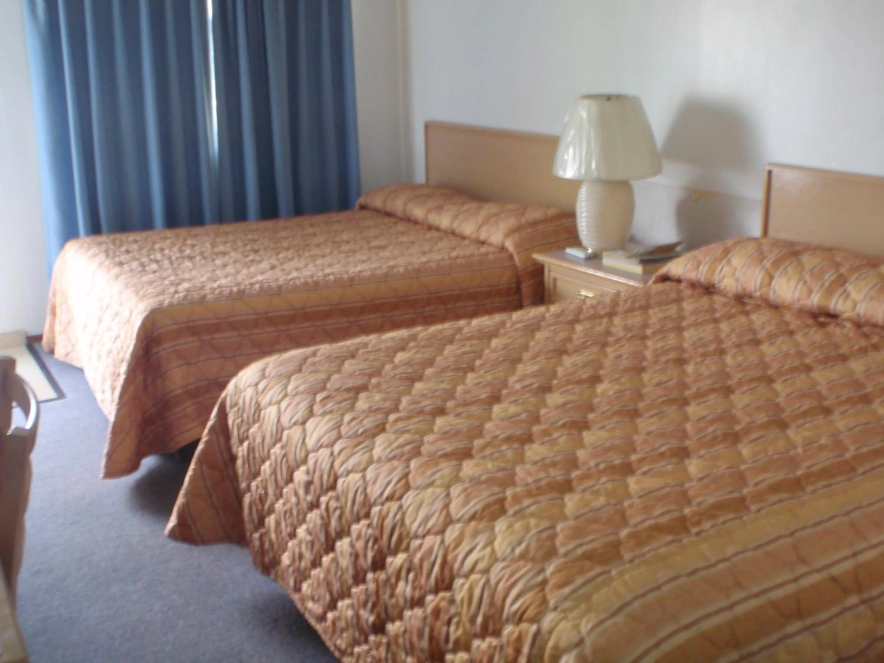 Bed in Trans Canada Motel