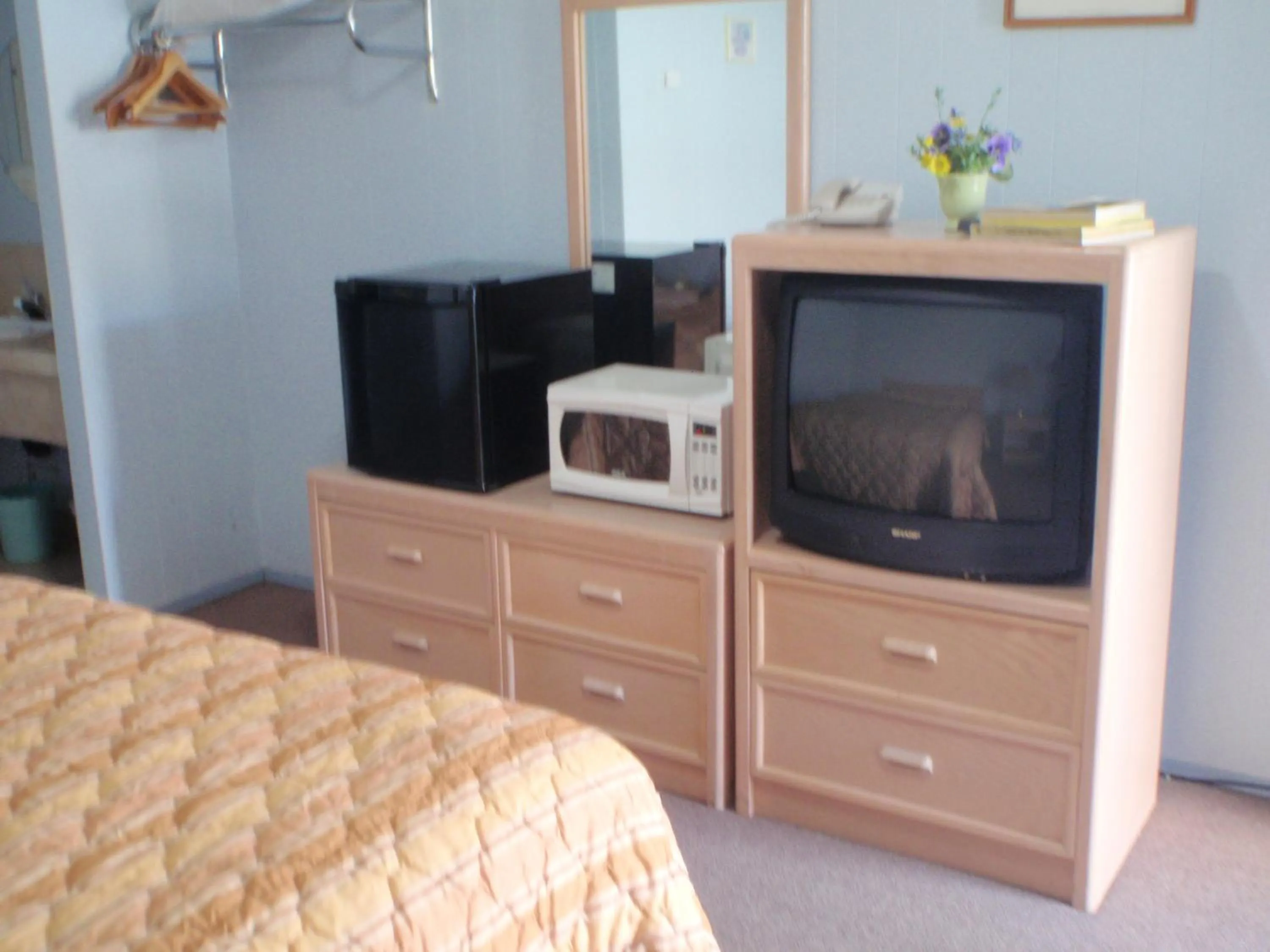 TV and multimedia in Trans Canada Motel