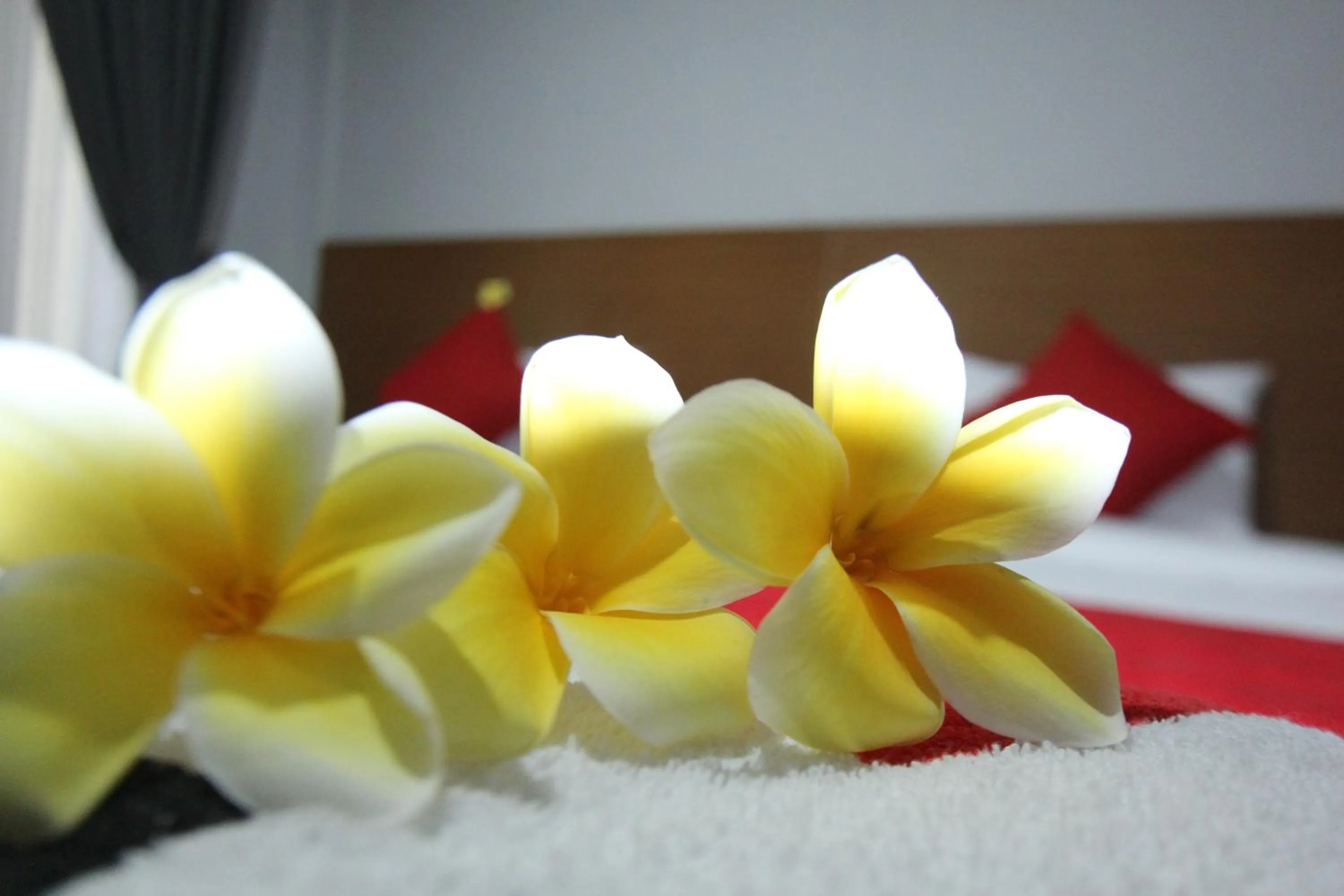 Bedroom, Bed in Tom Guest House