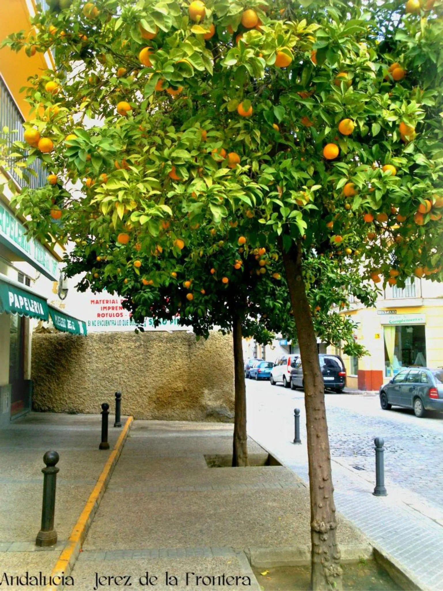 Facade/entrance in Al Andalus Jerez