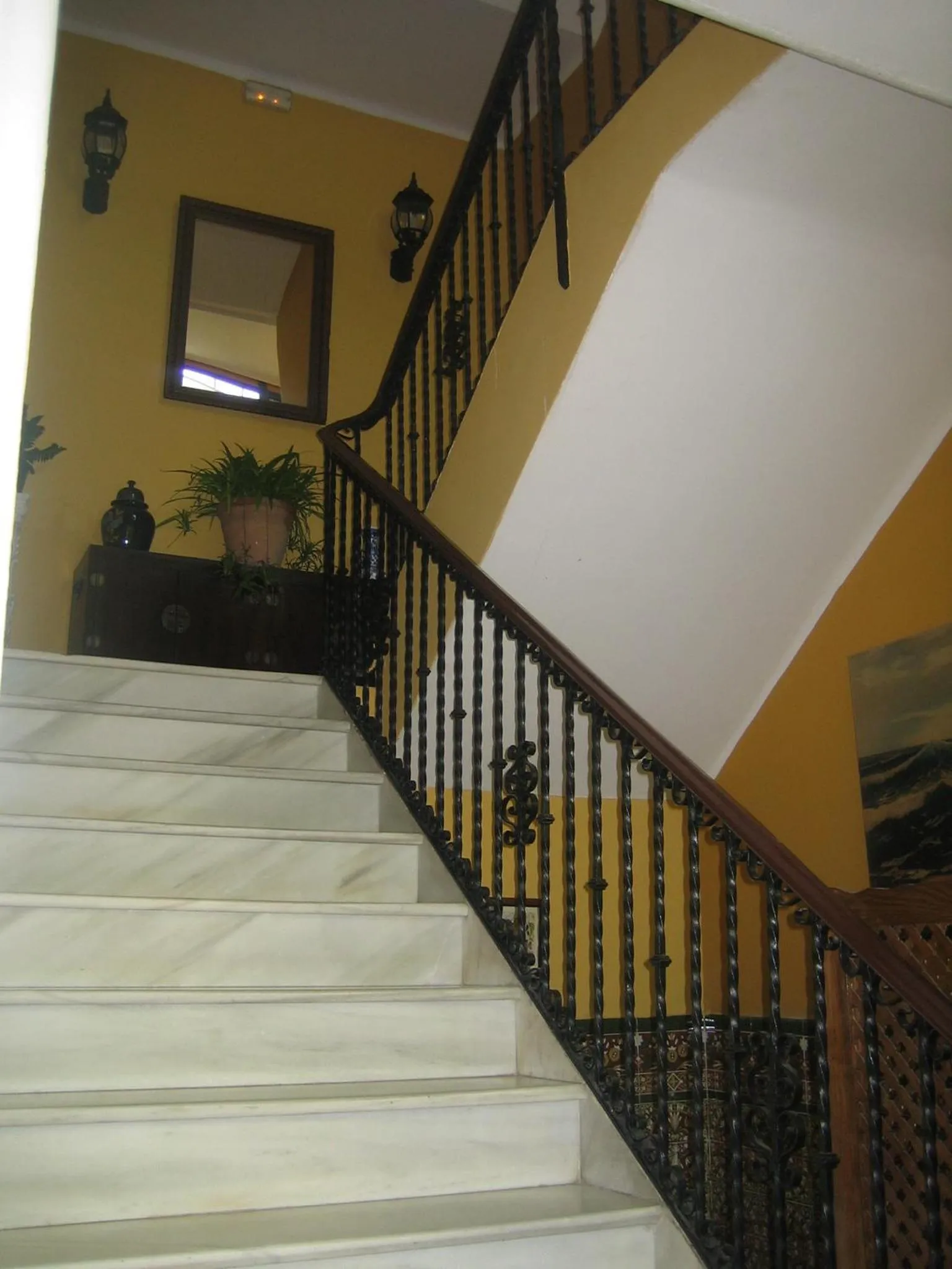 Bird's eye view in Al Andalus Jerez