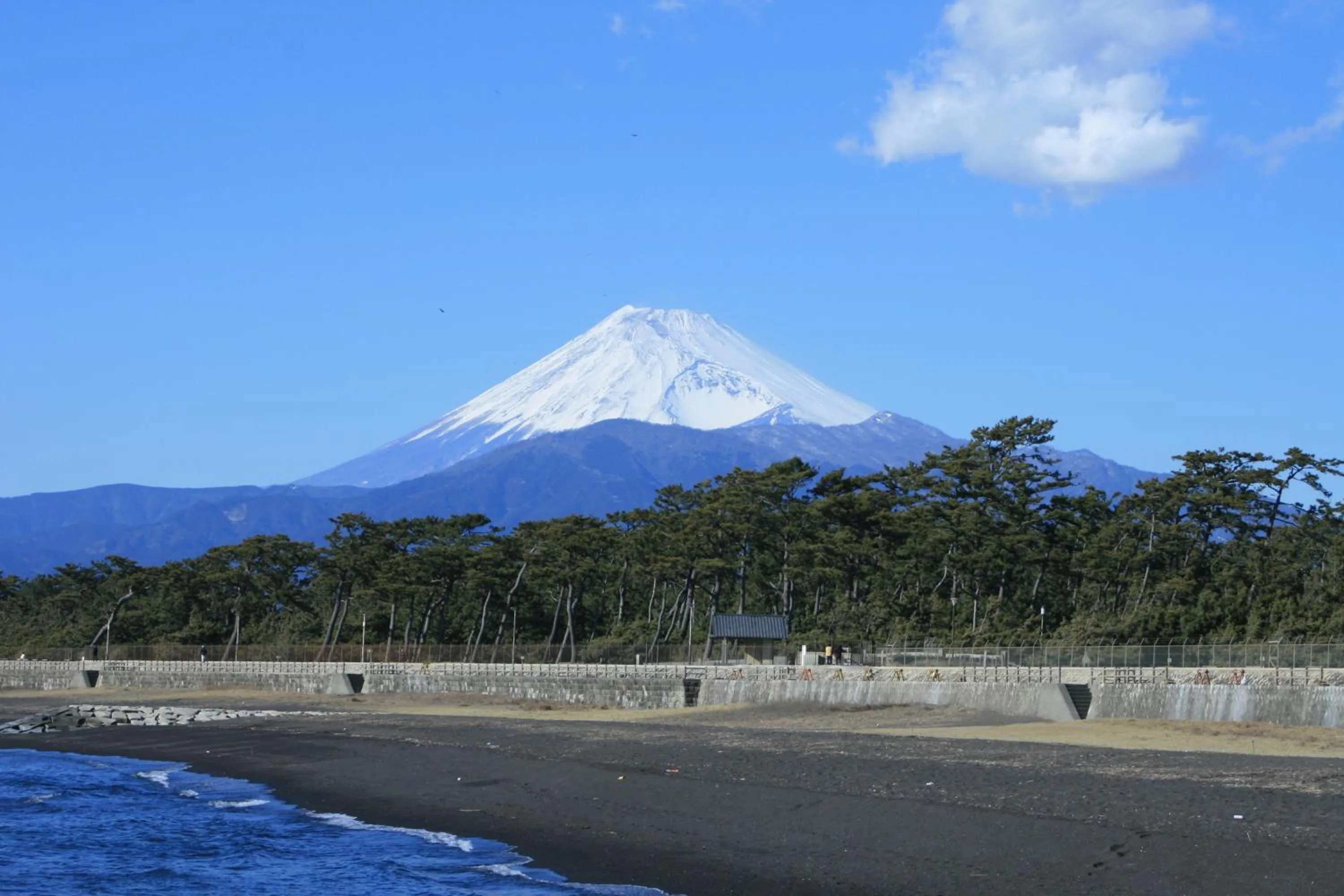 Off site in KKR Numazu Hamayu