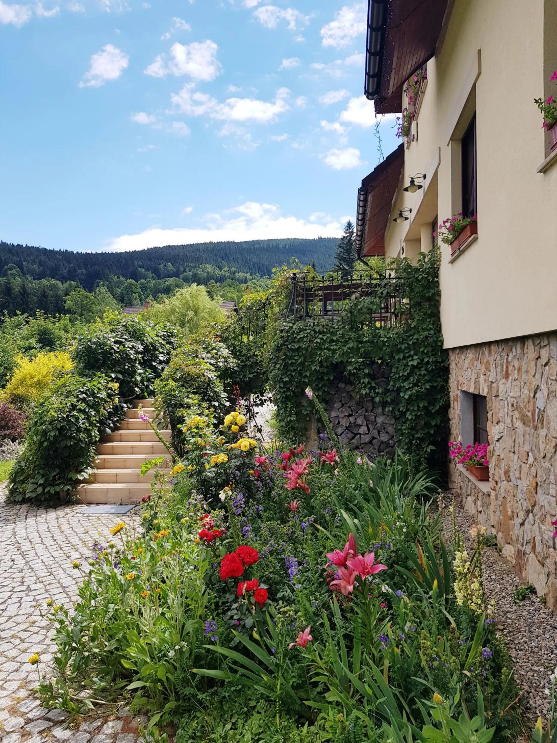 Area and facilities in Apartamenty Dom na Wzgórzu Gardenia