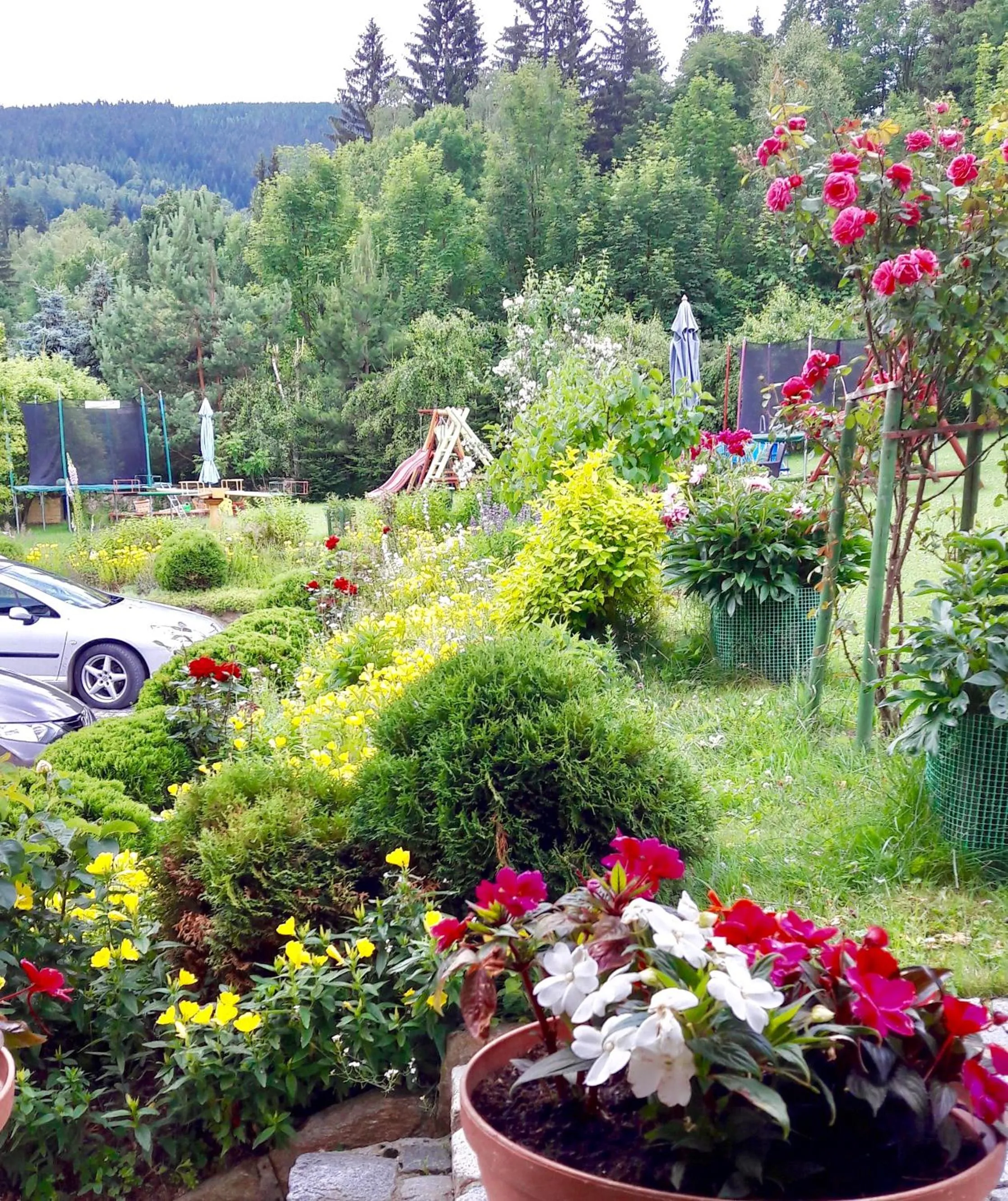 Activities in Apartamenty Dom na Wzgórzu Gardenia