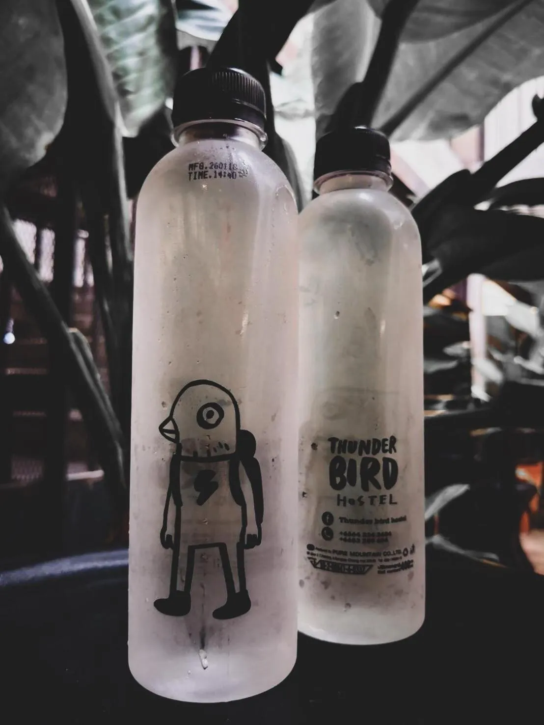 Logo/Certificate/Sign in Thunder Bird Hostel