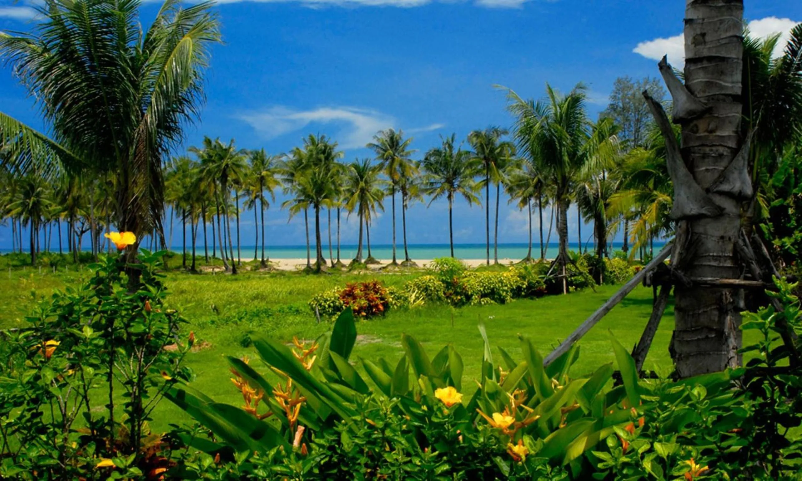Garden in Andamania Beach Resort, Khaolak - SHA plus