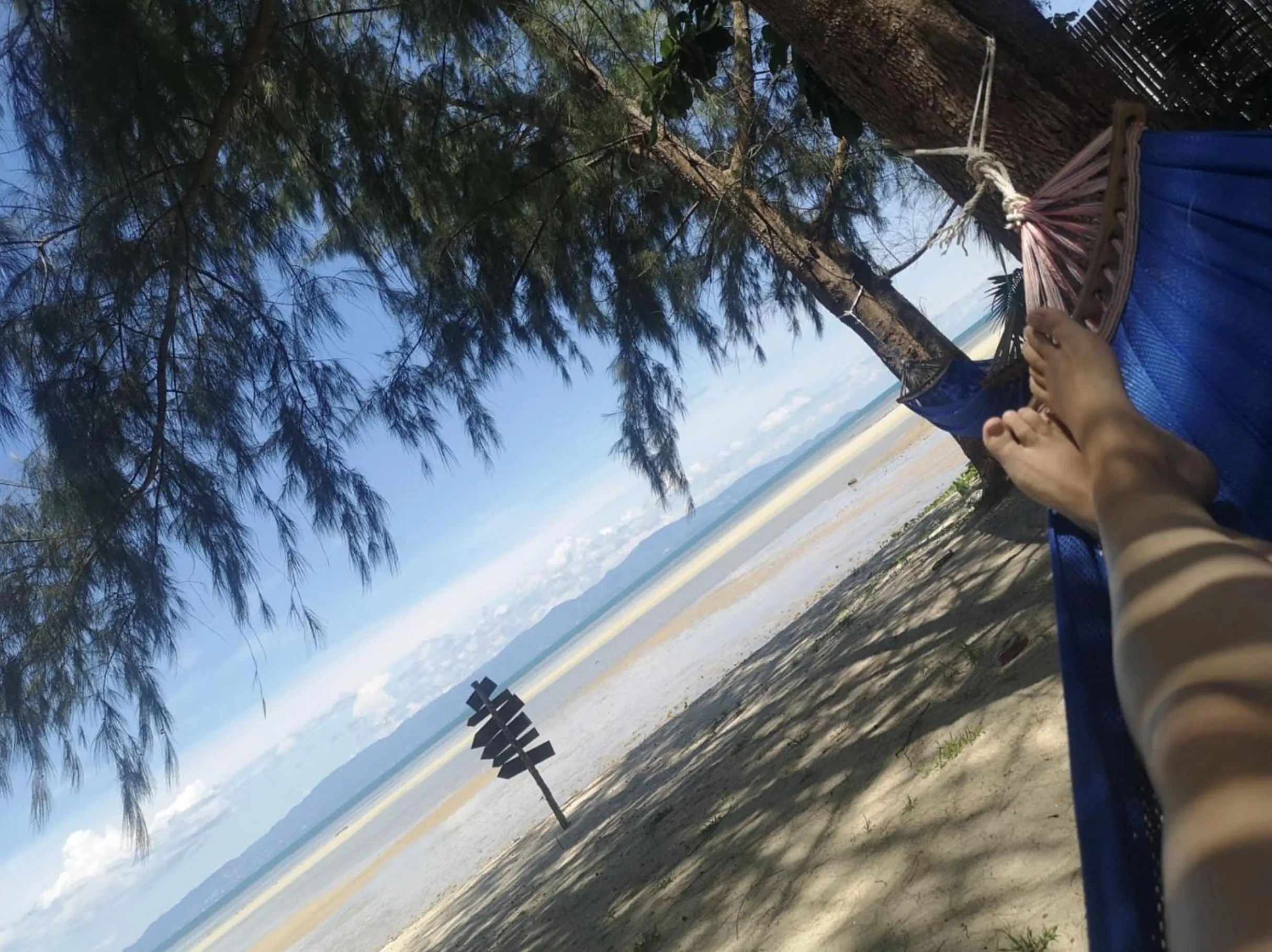 Restaurant/places to eat in SeaEsta Beach