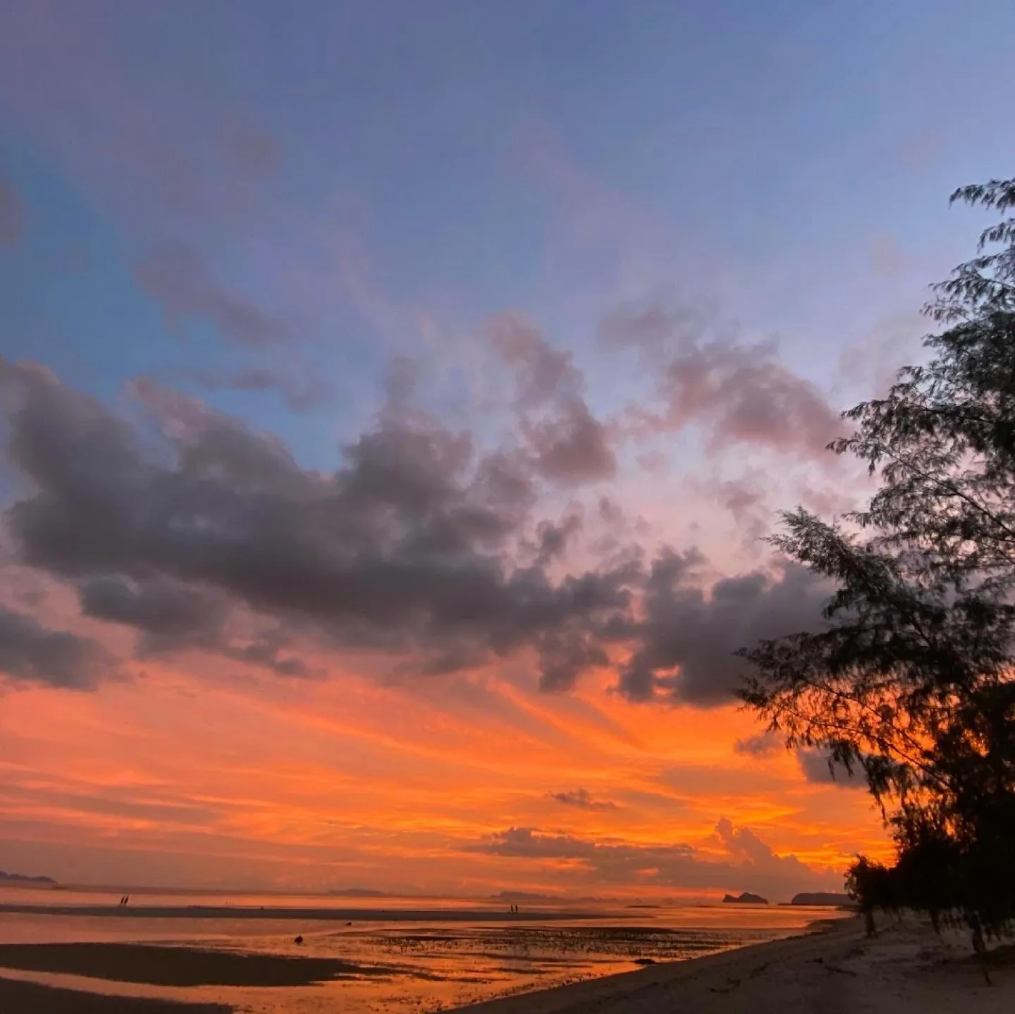 Natural landscape in SeaEsta Beach