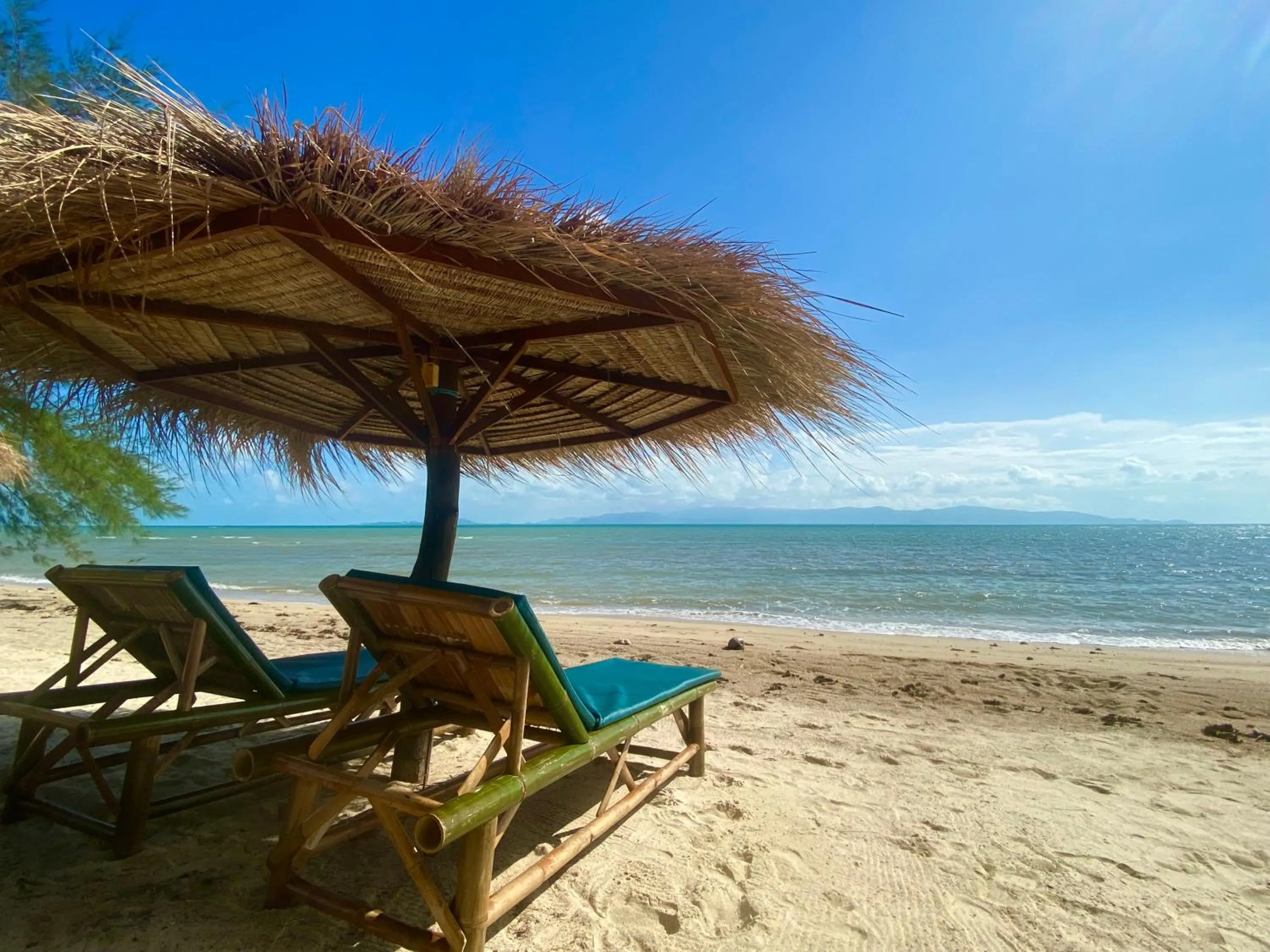 Natural landscape in SeaEsta Beach