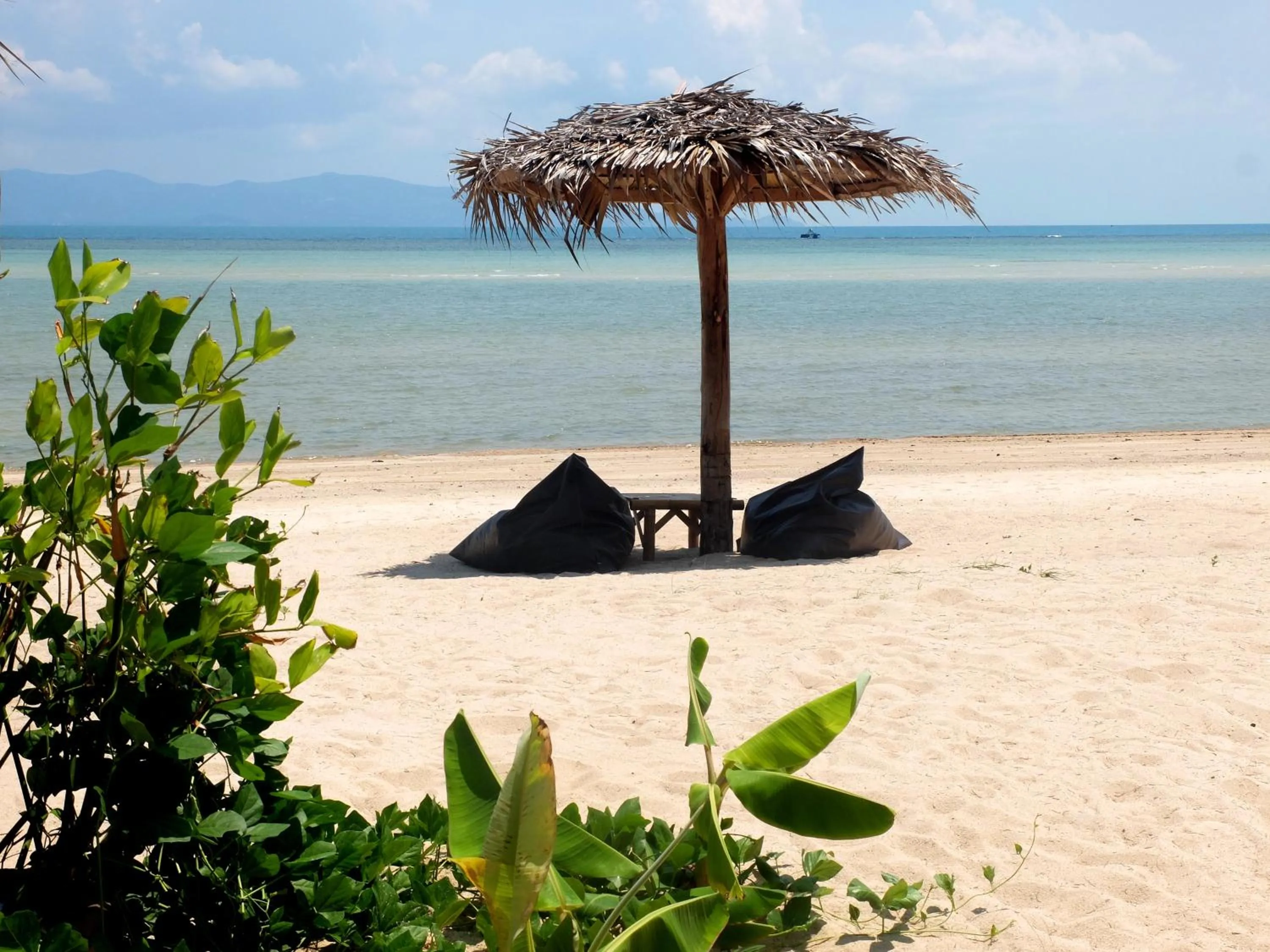 Day in SeaEsta Beach