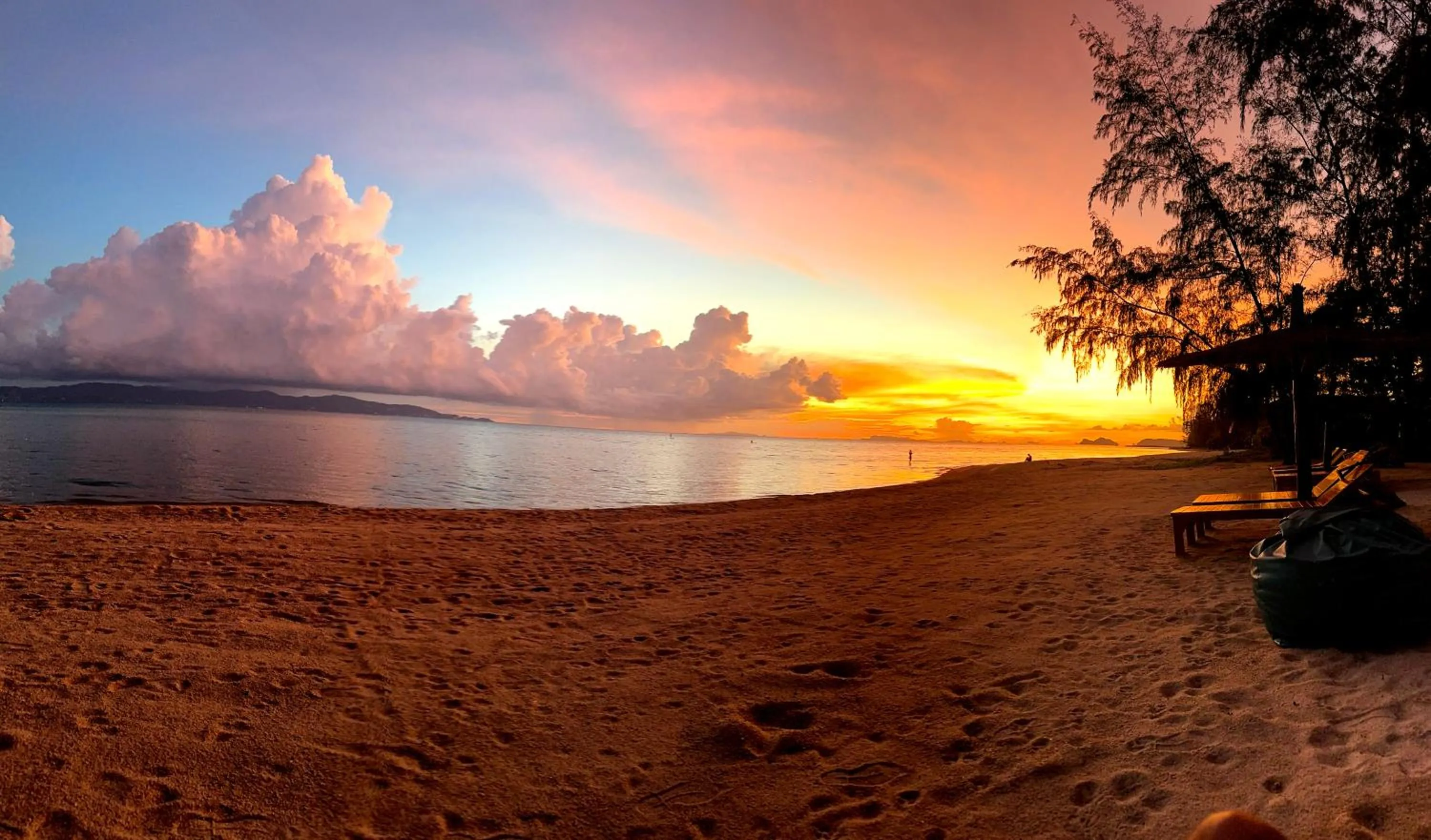 Beach in SeaEsta Beach